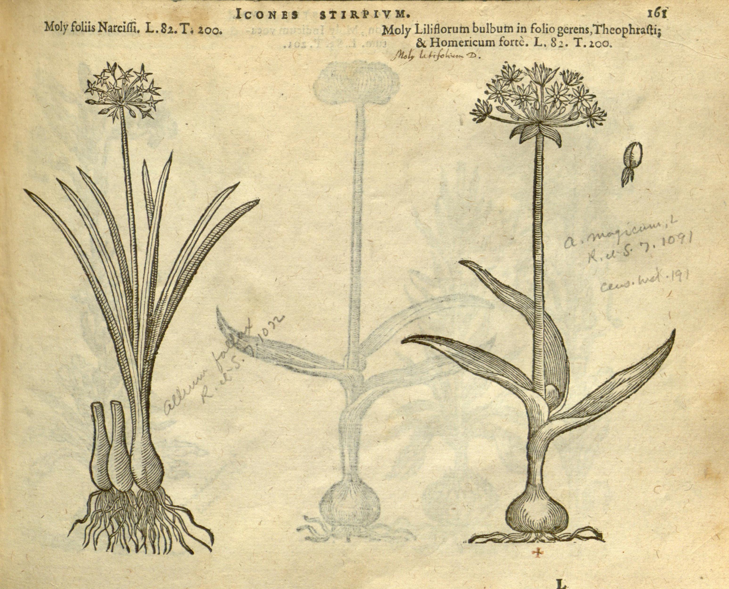 no full size  illustration available (3a)