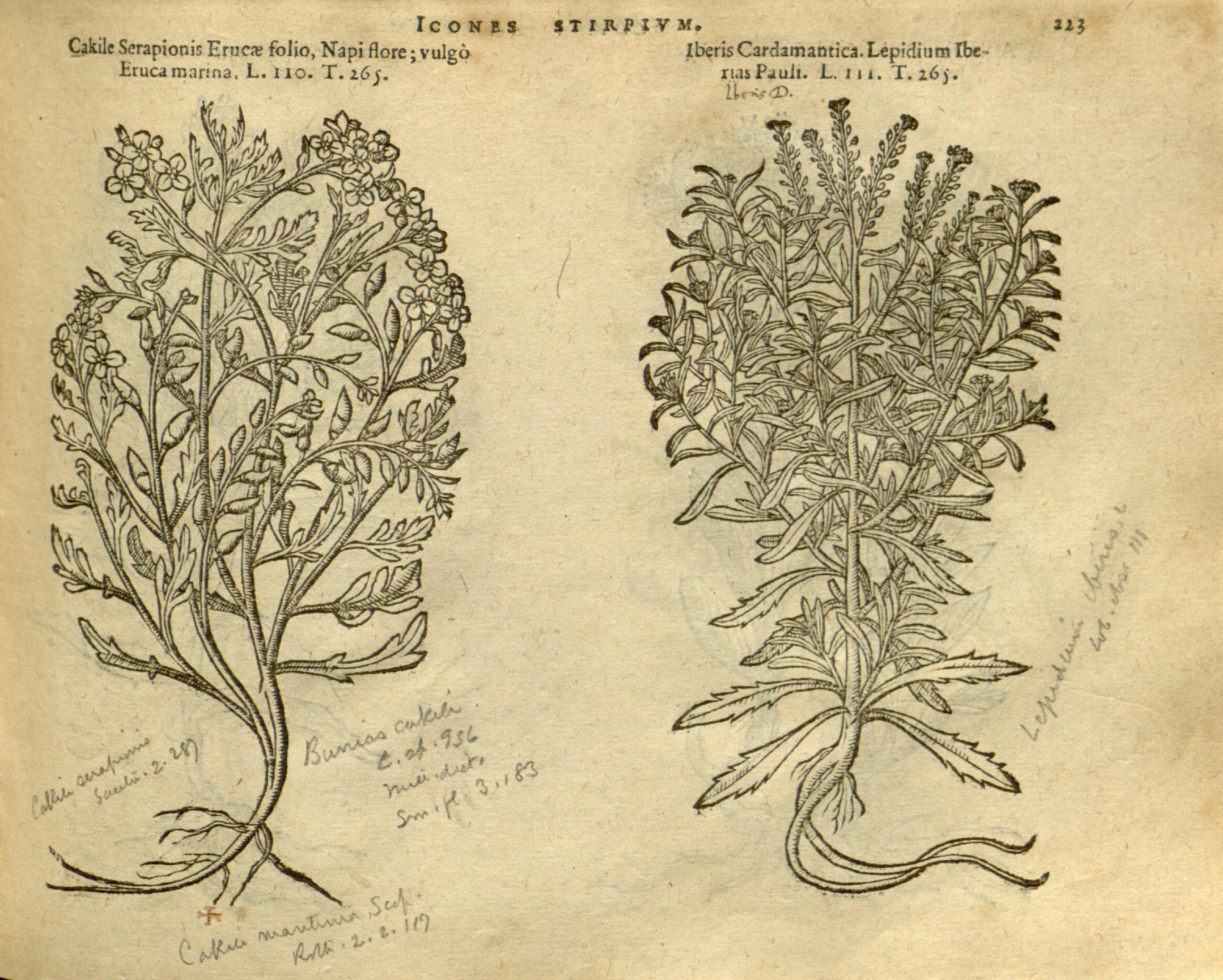 no full size  illustration available (3a)