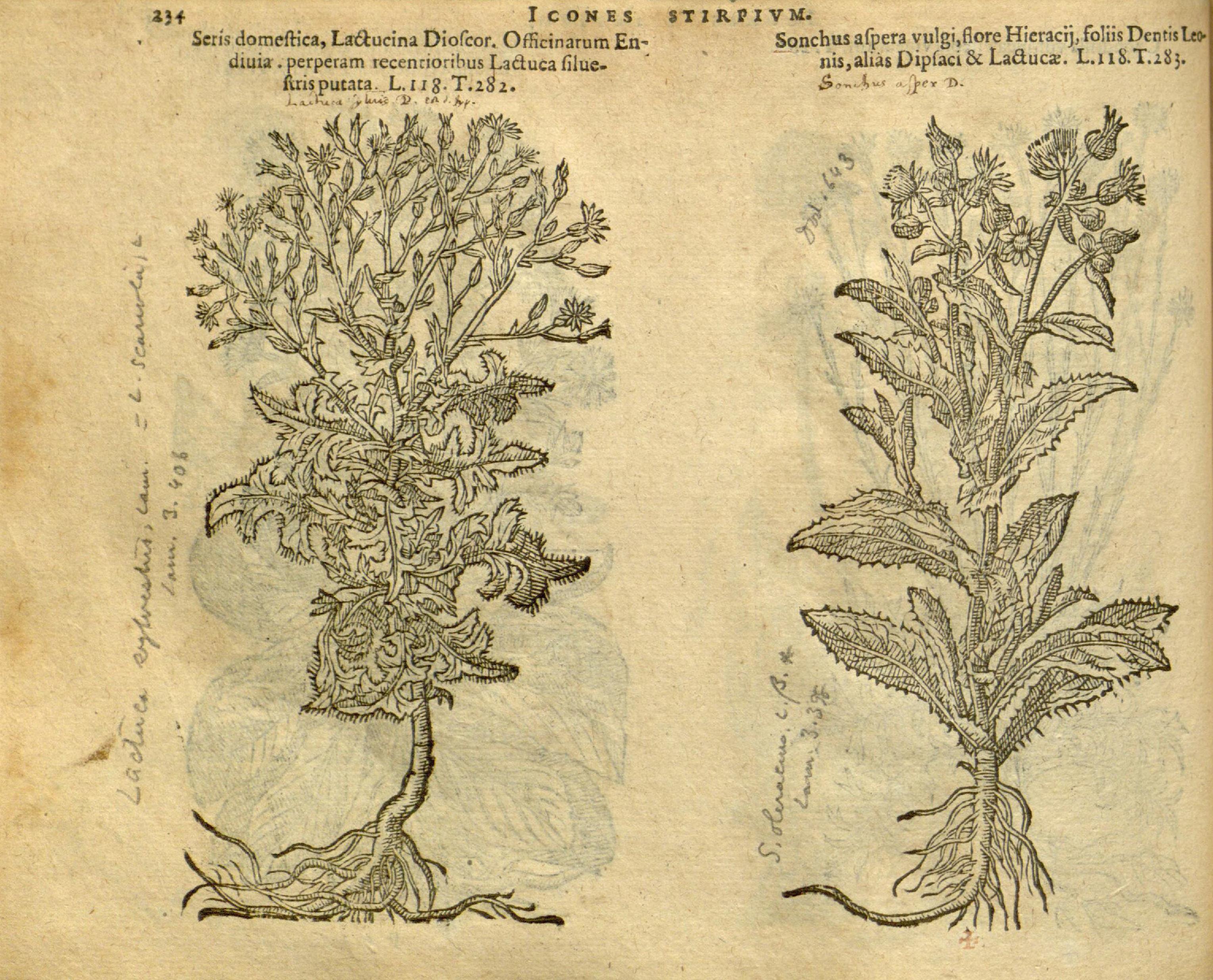 no full size  illustration available (3a)