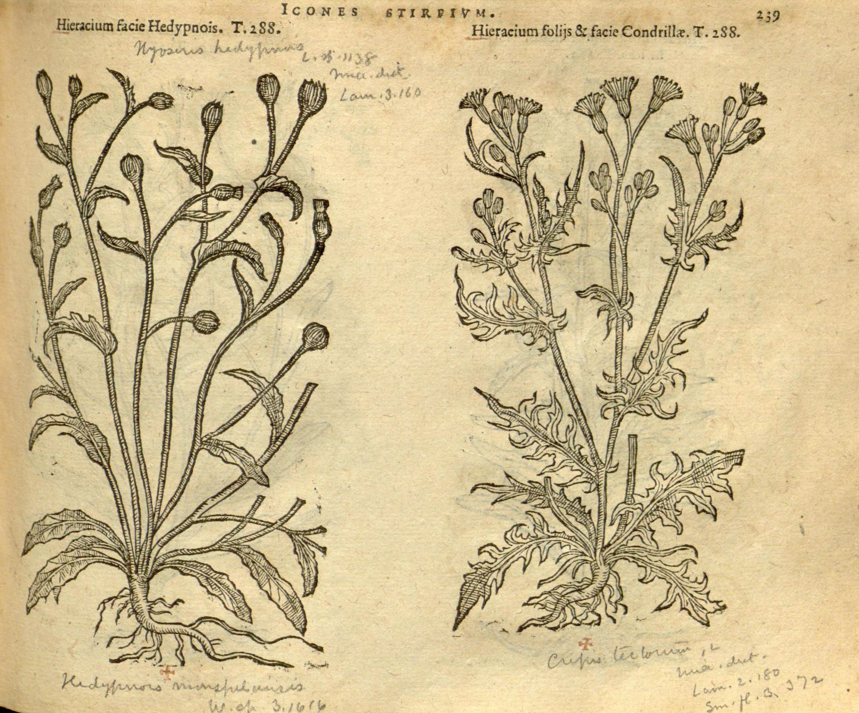 no full size  illustration available (3a)