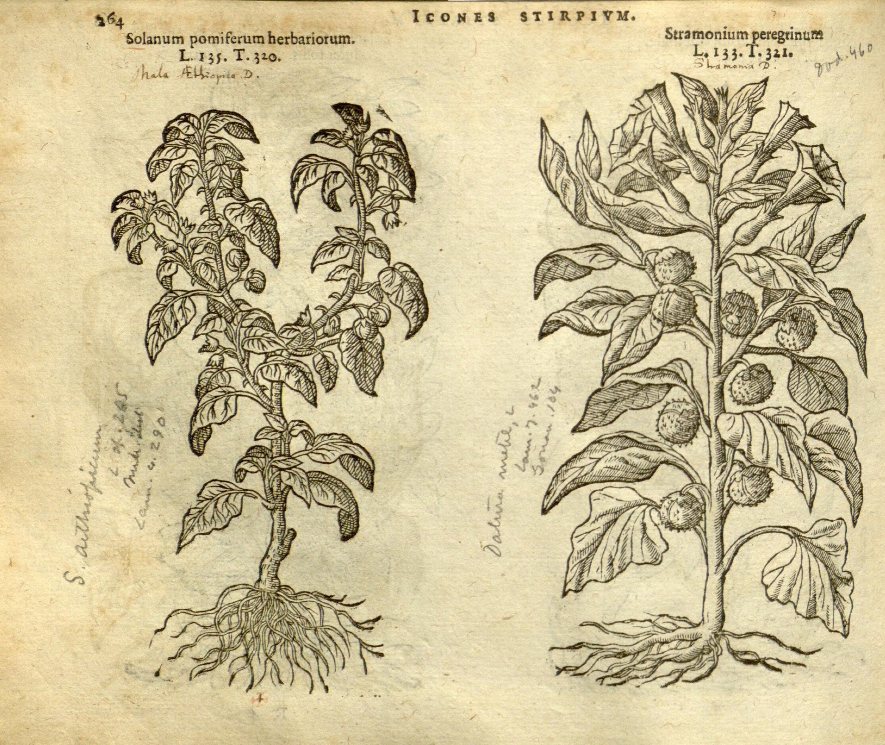 no full size  illustration available (3a)