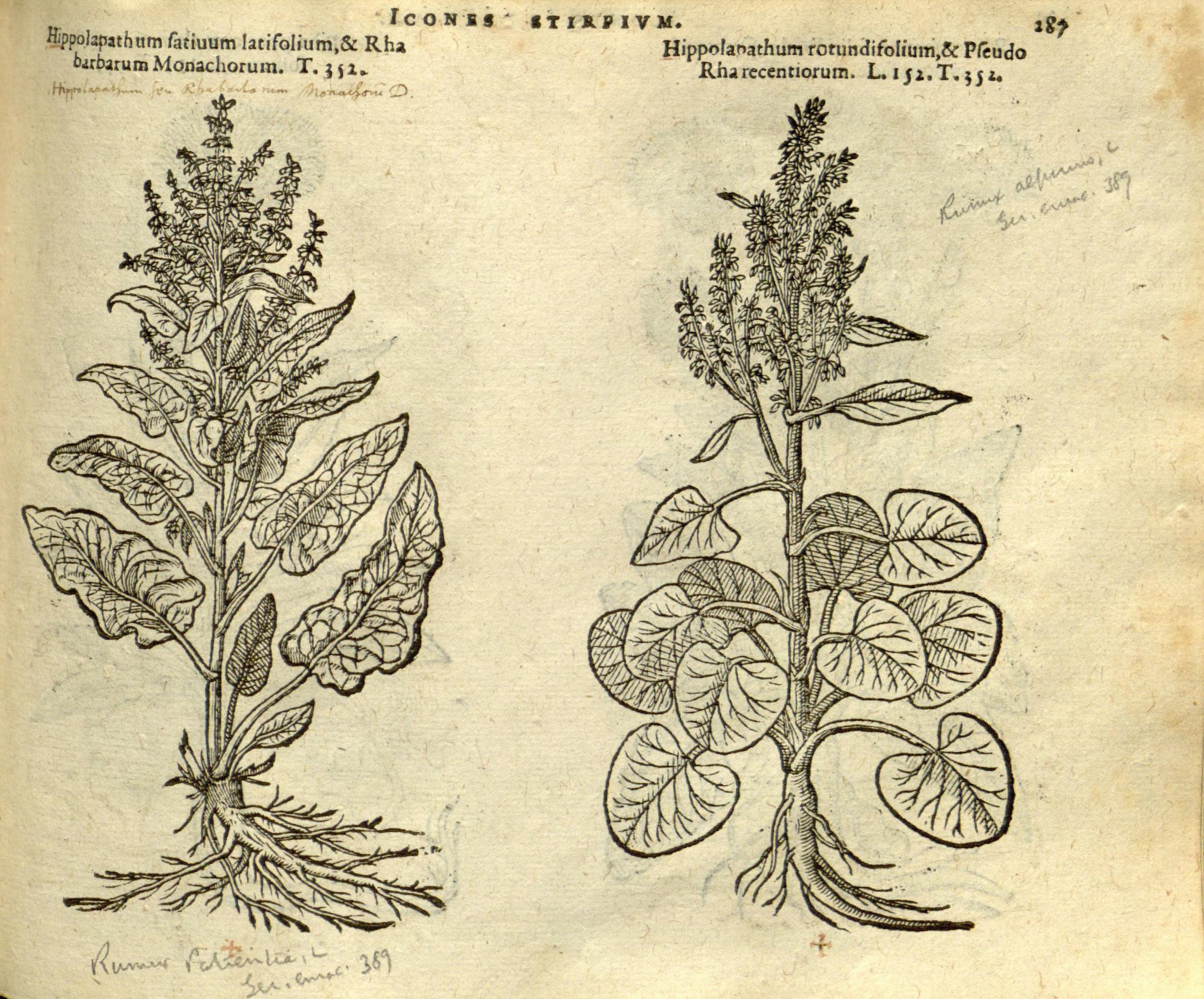 no full size  illustration available (3a)