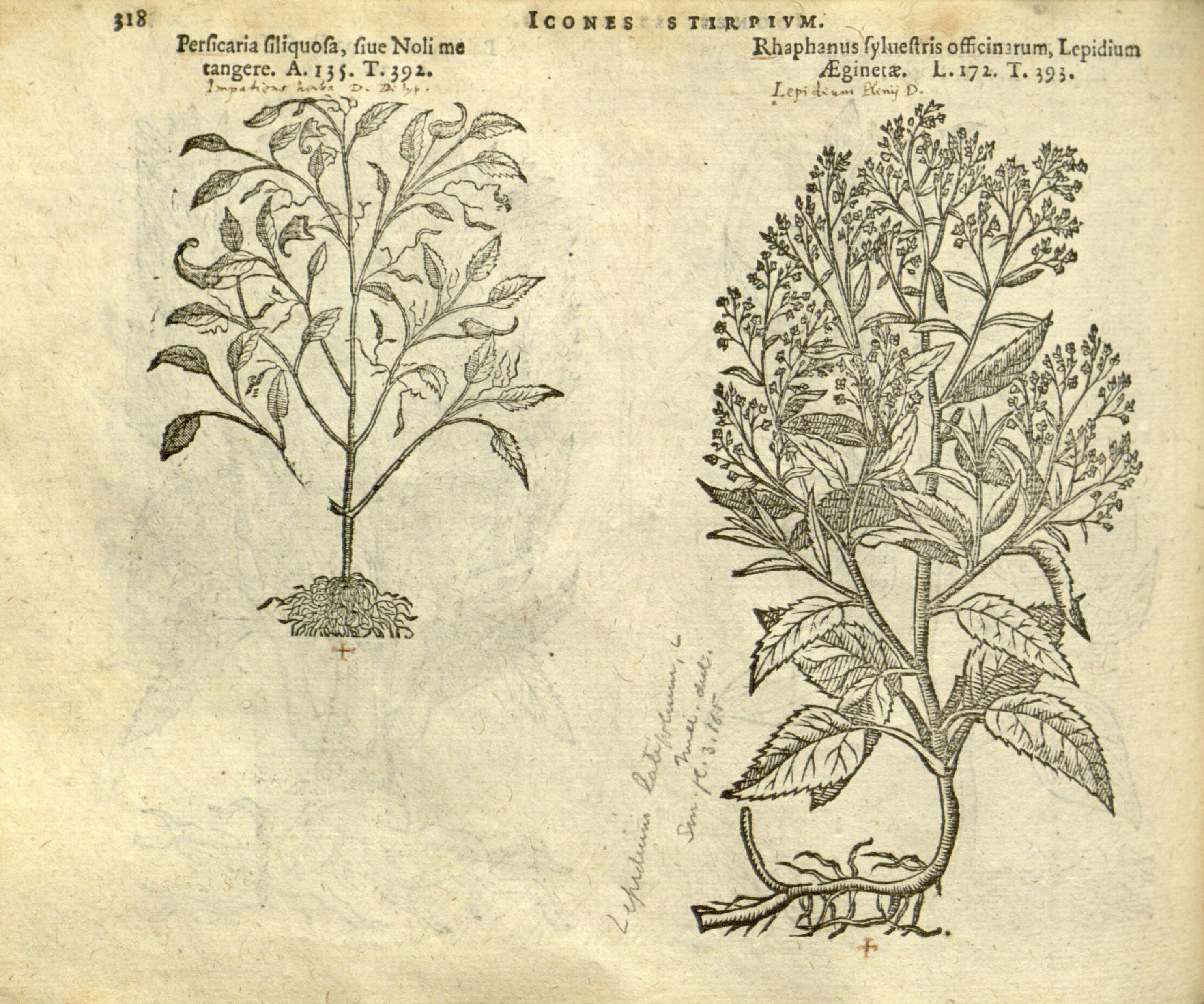 no full size  illustration available (3a)