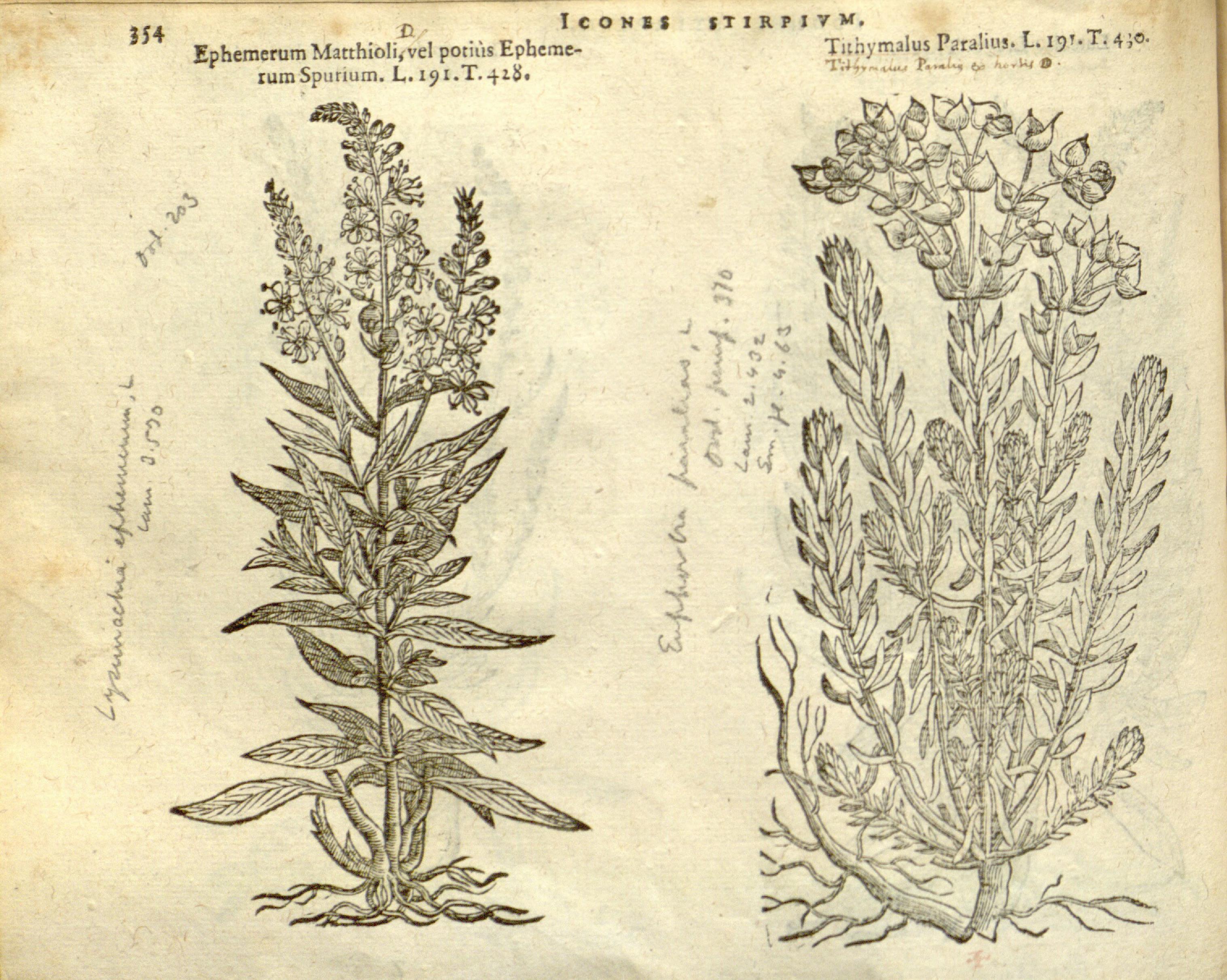 no full size  illustration available (3a)