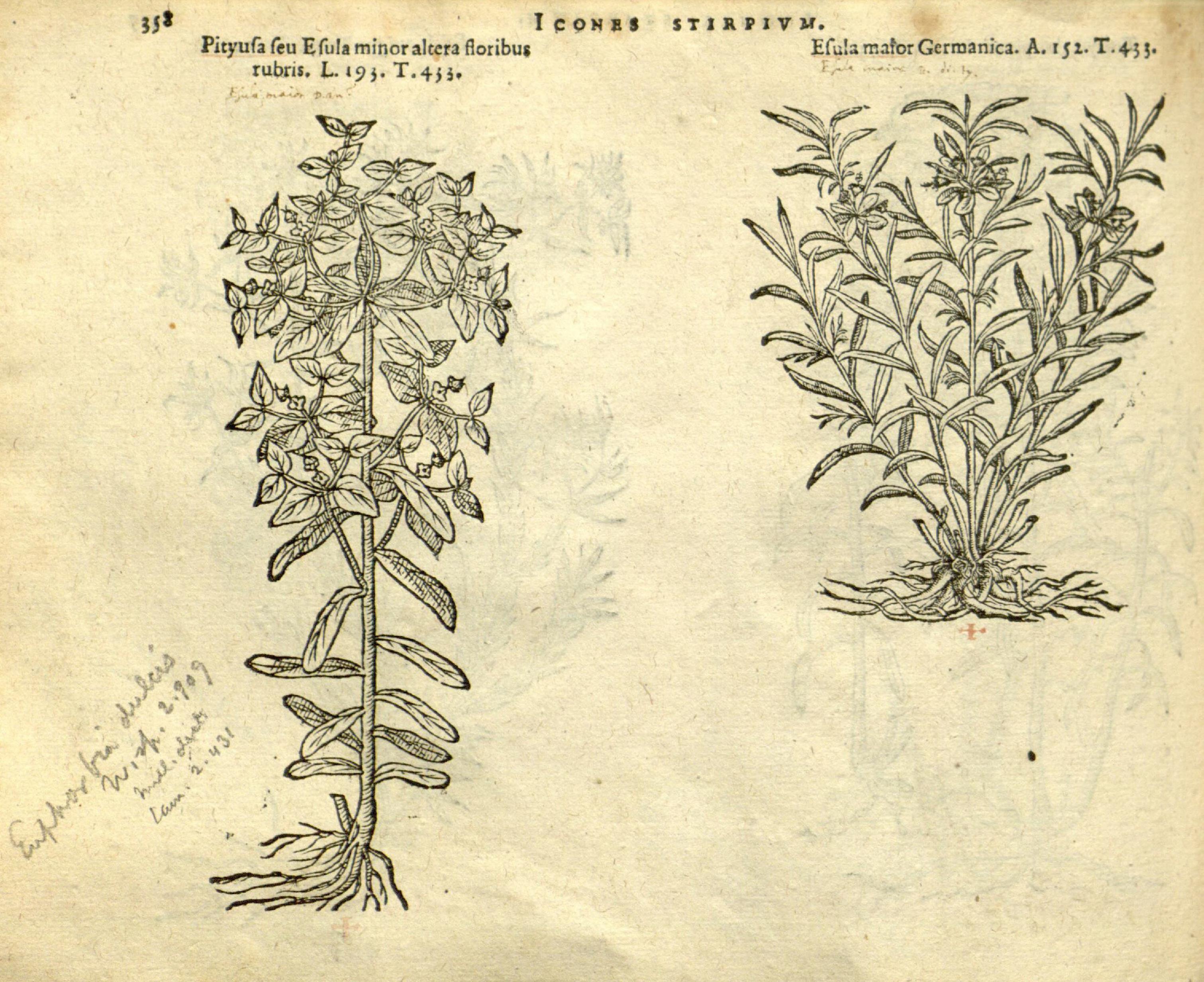 no full size  illustration available (3a)