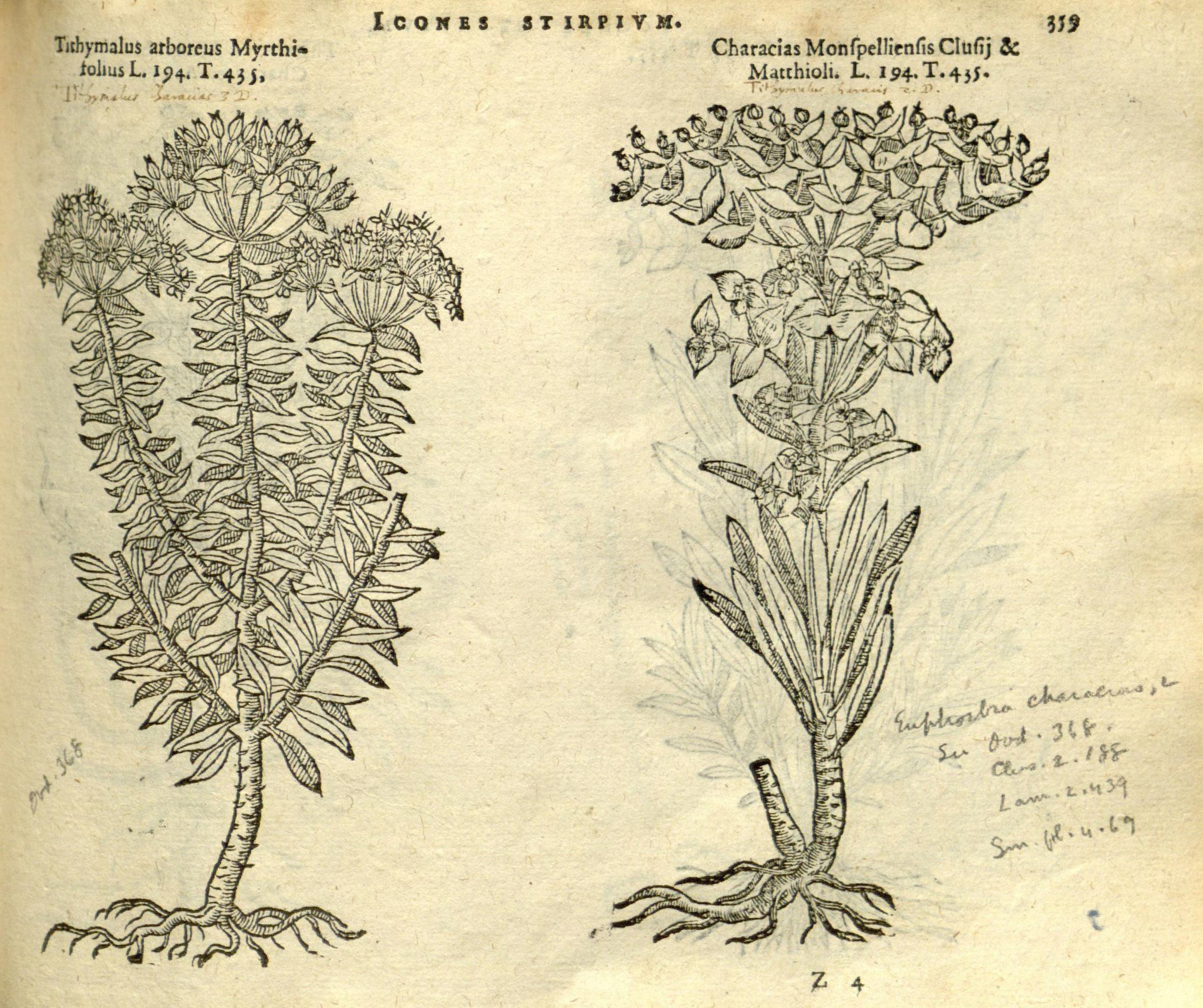 no full size  illustration available (3a)