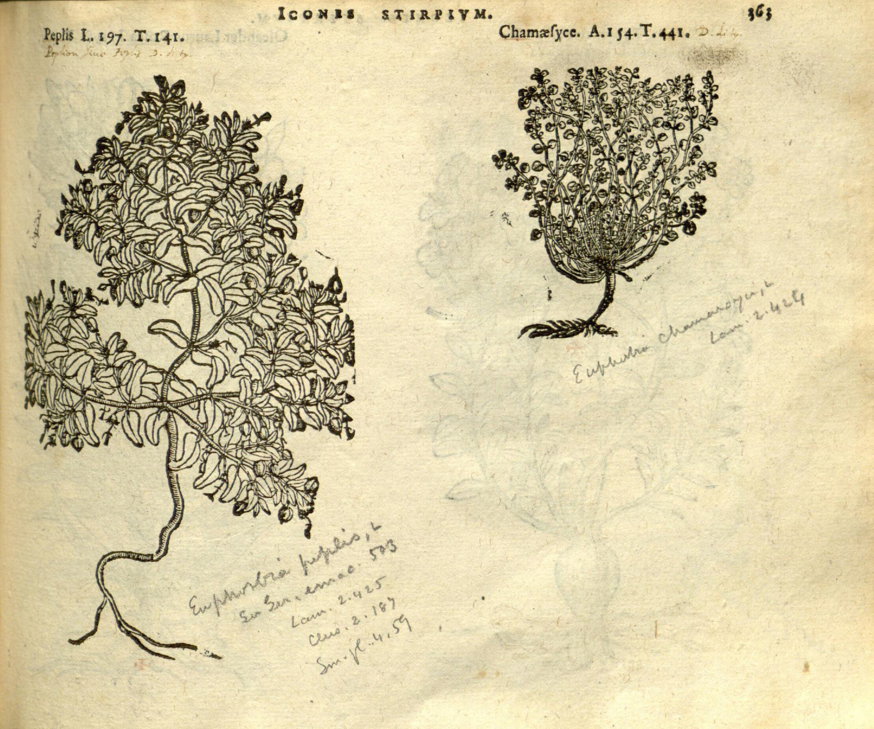 no full size  illustration available (3a)