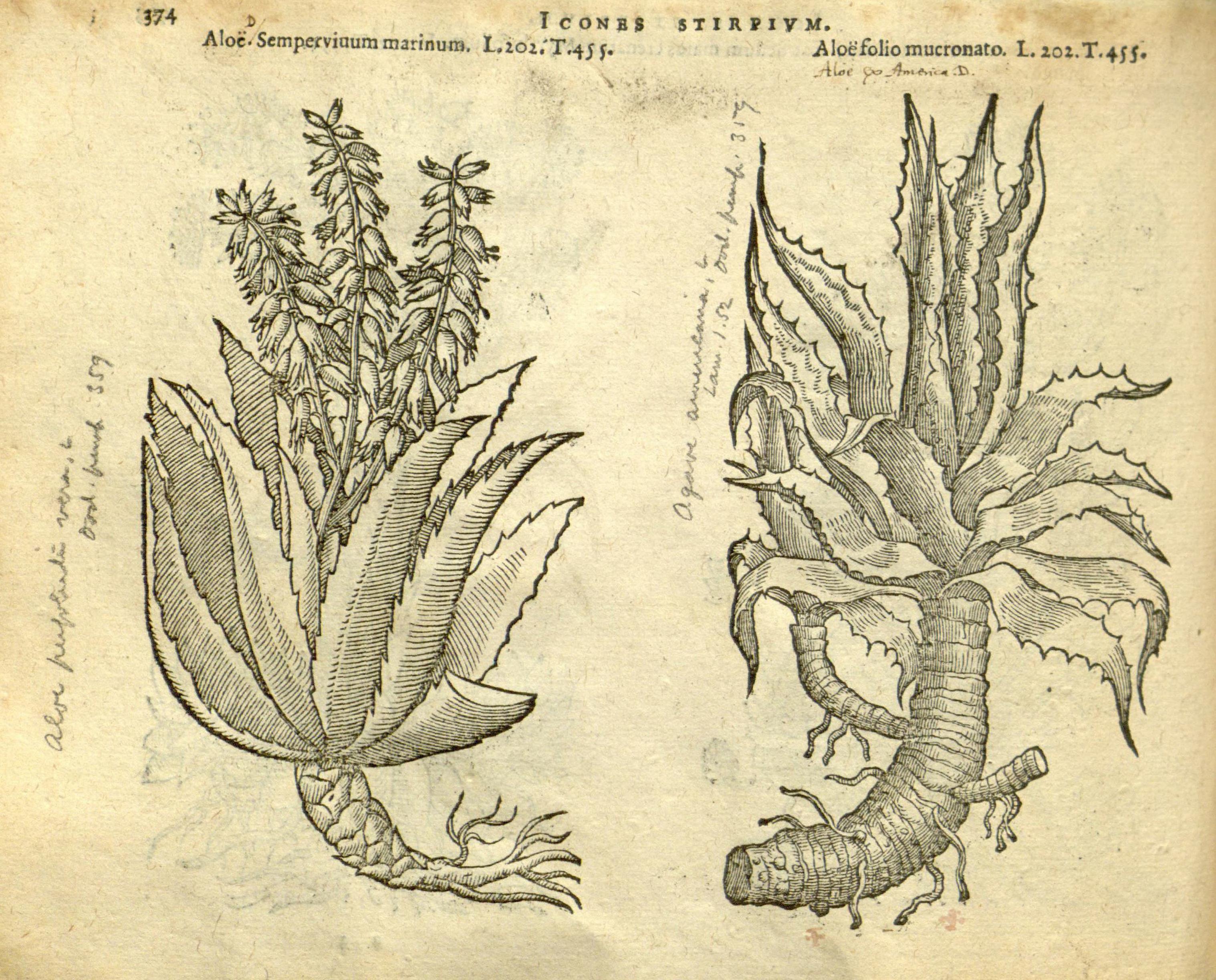 no full size  illustration available (3a)