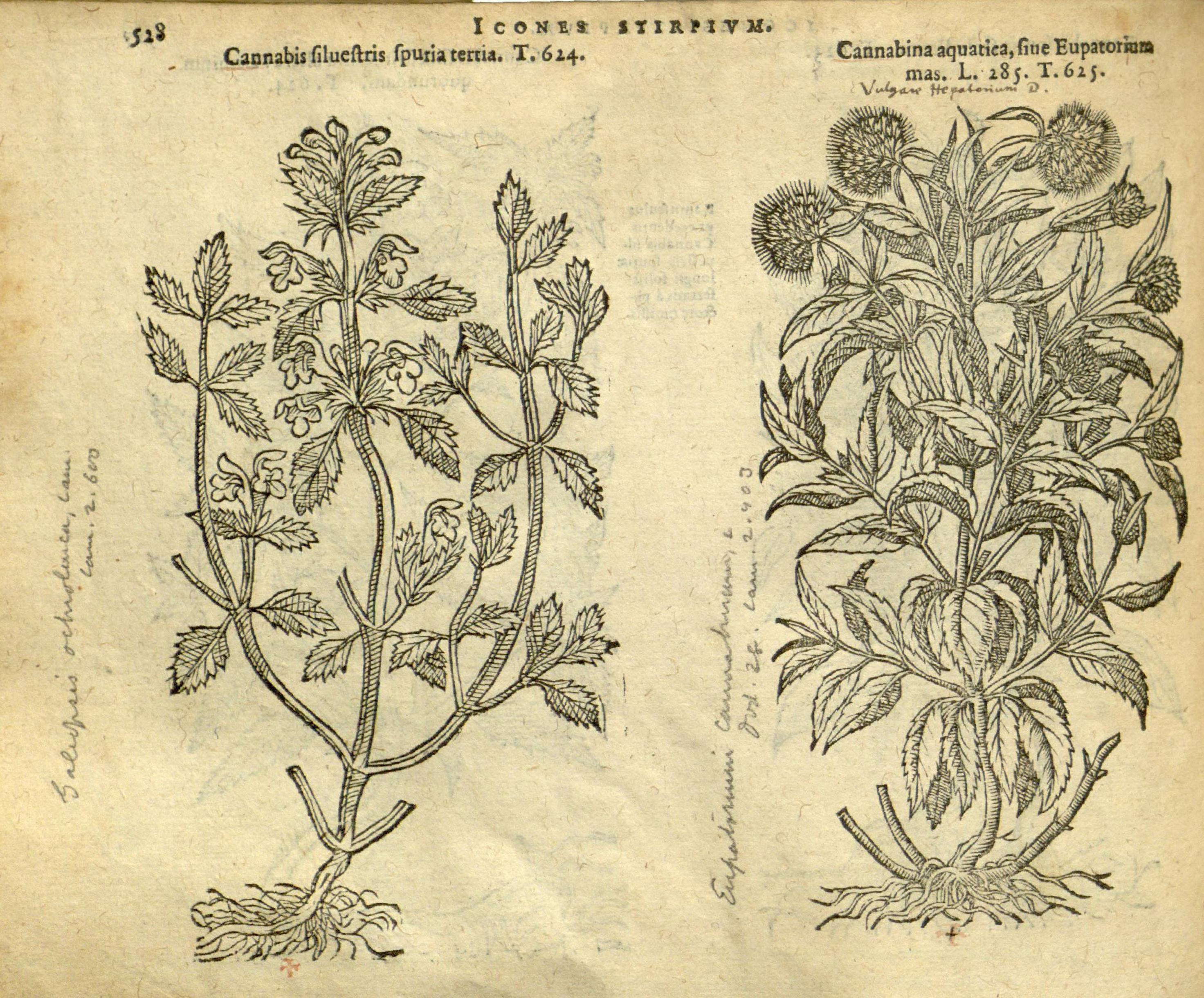 no full size  illustration available (3a)