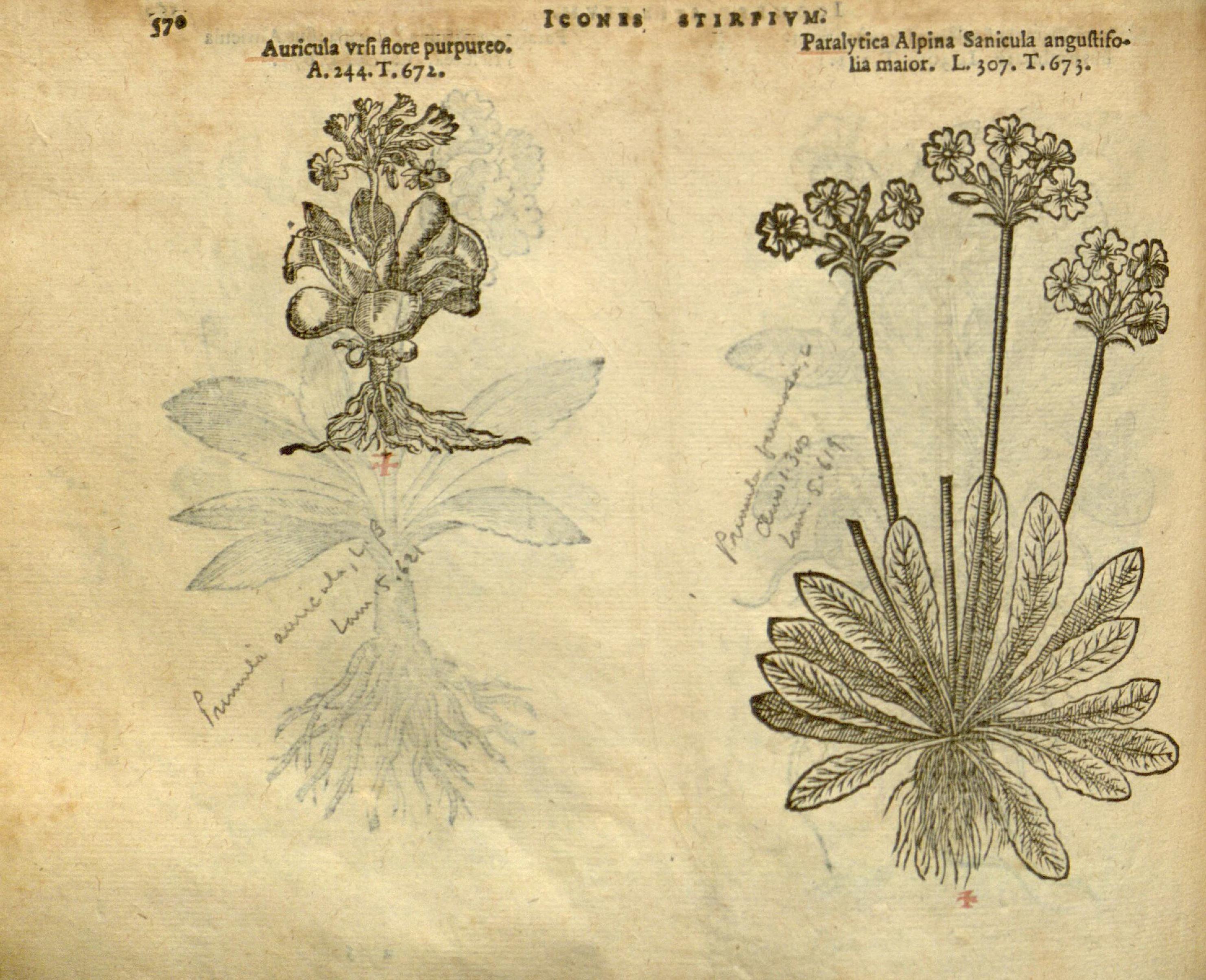 no full size  illustration available (3a)