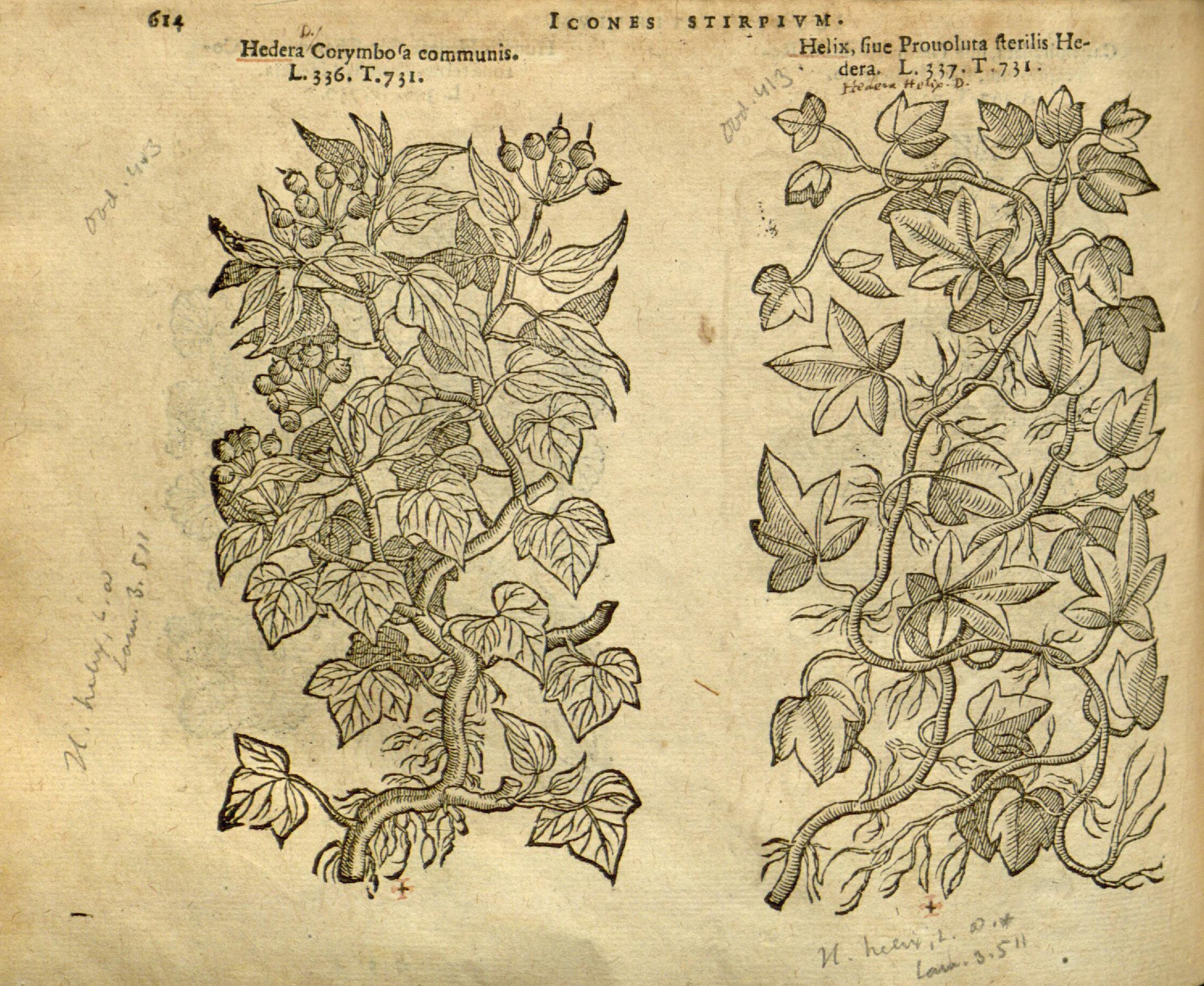 no full size  illustration available (3a)