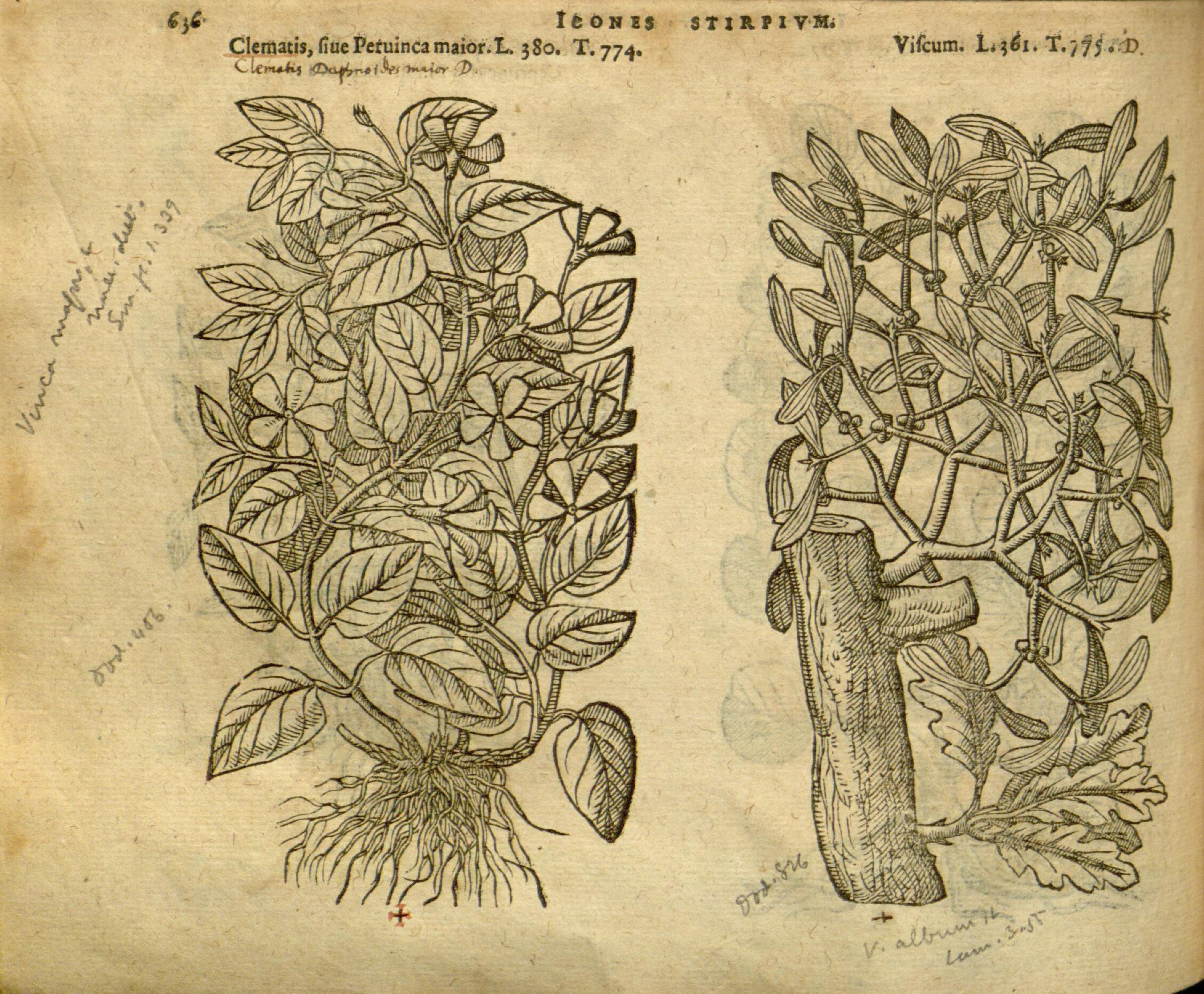 no full size  illustration available (3a)