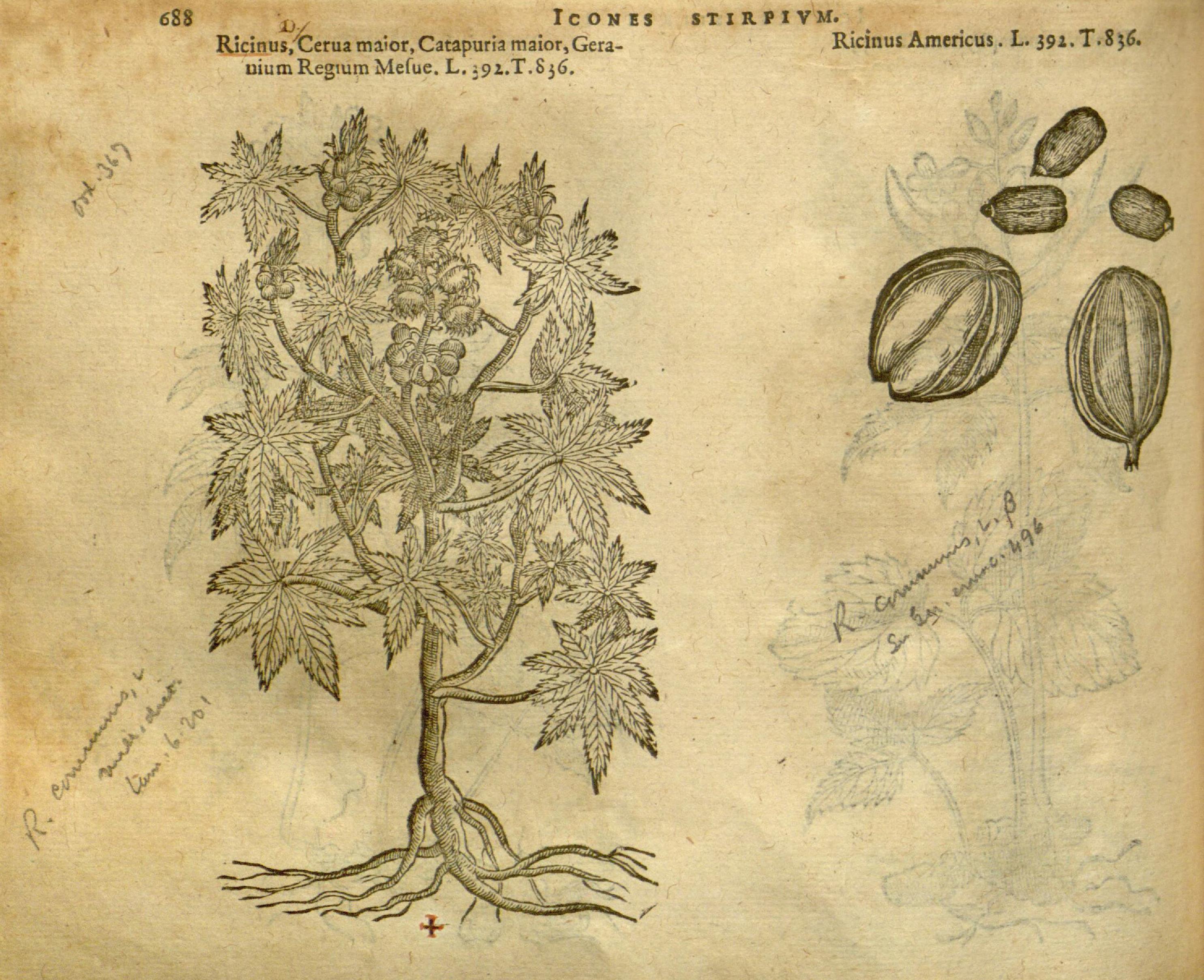 no full size  illustration available (3a)