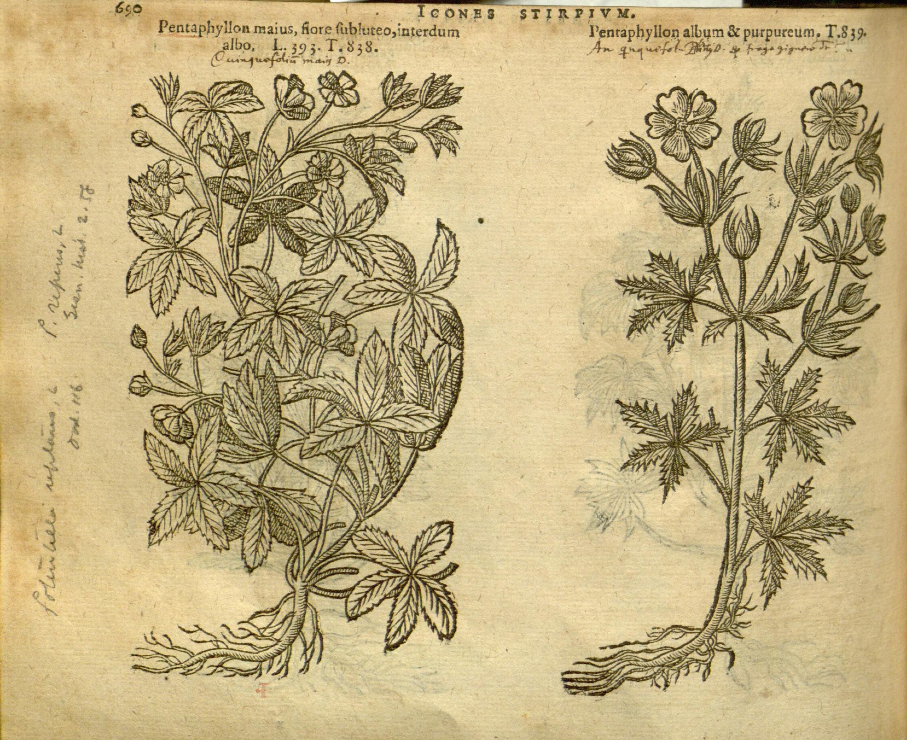 no full size  illustration available (3a)