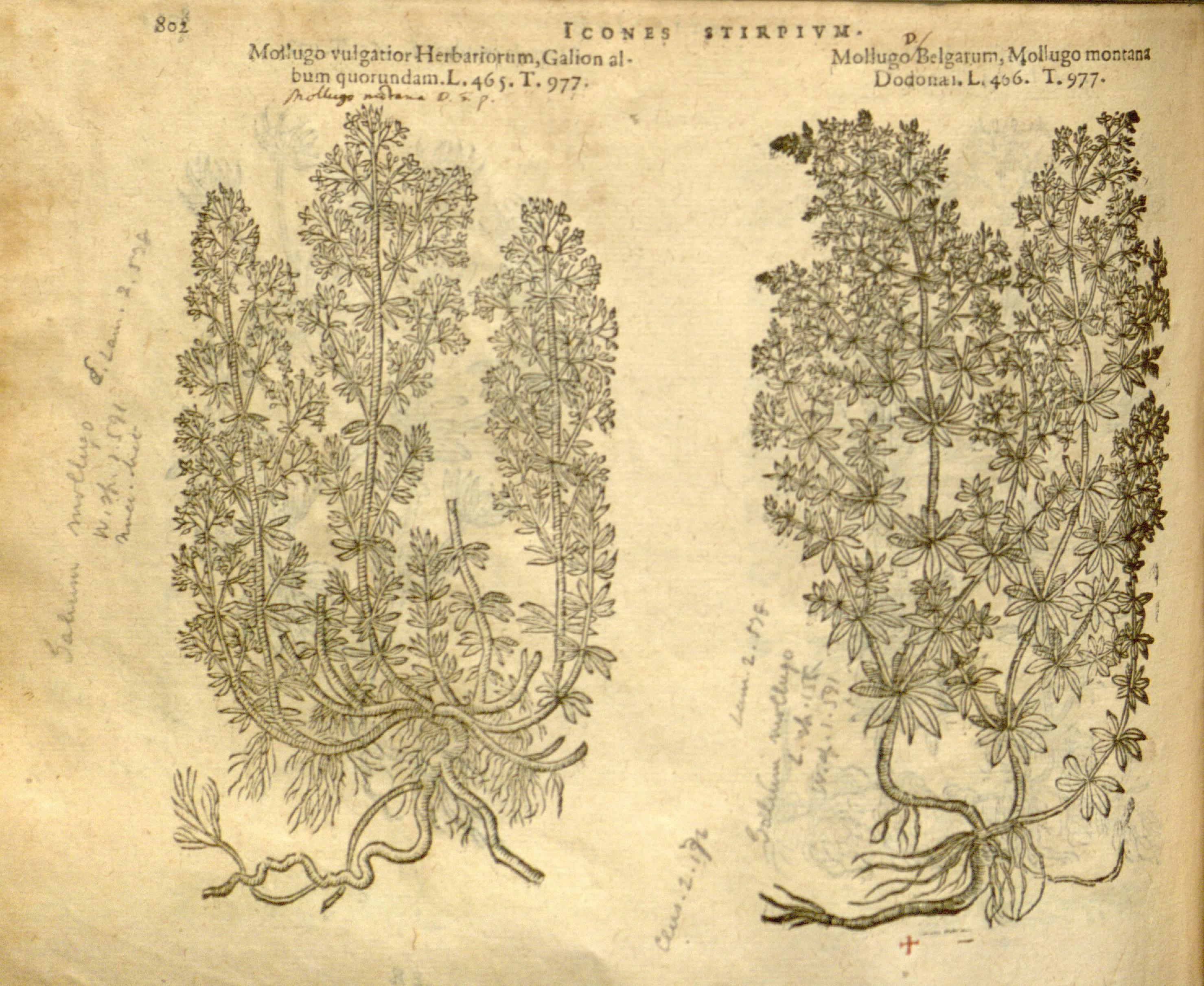 no full size  illustration available (3a)