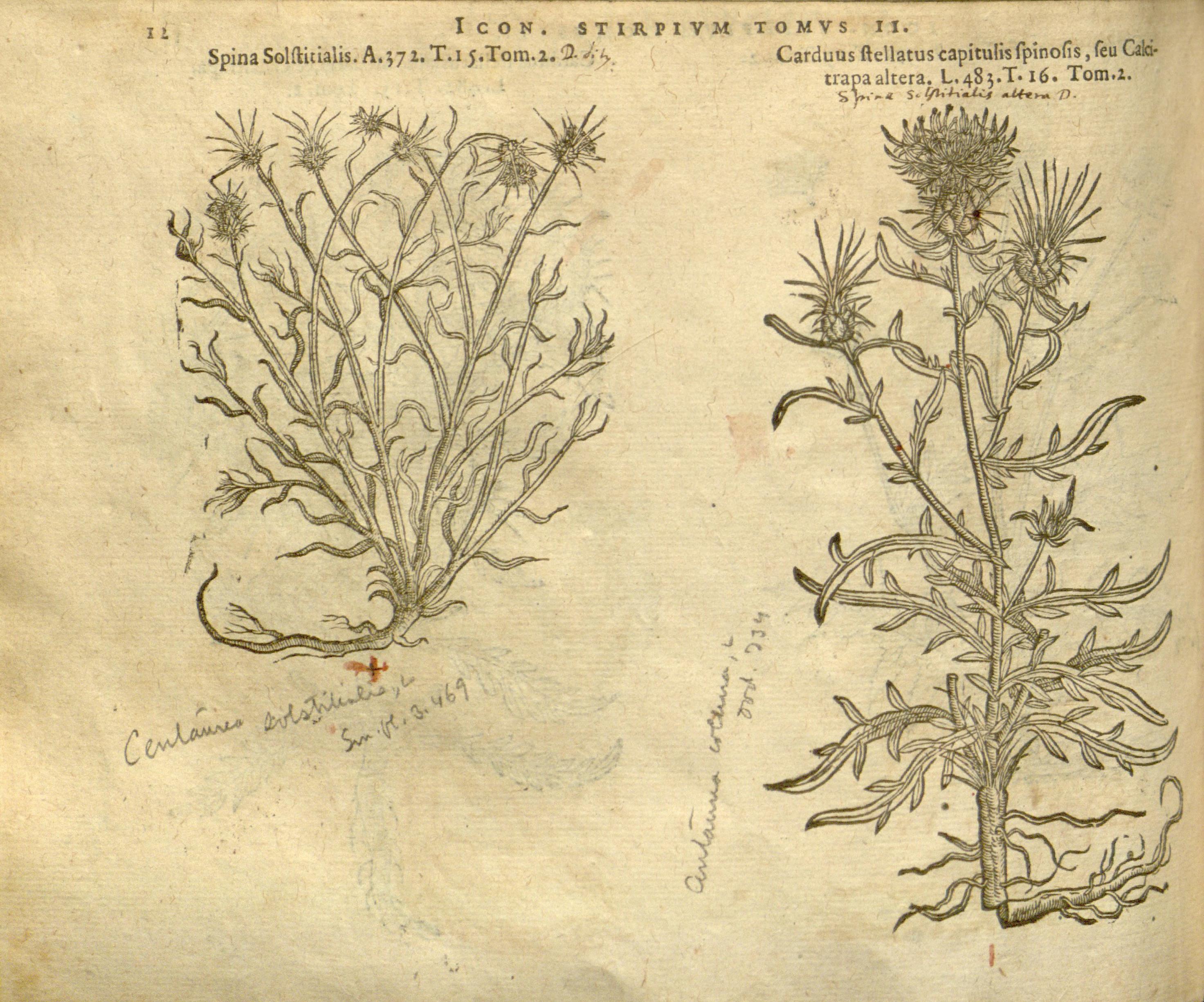 no full size  illustration available (3a)