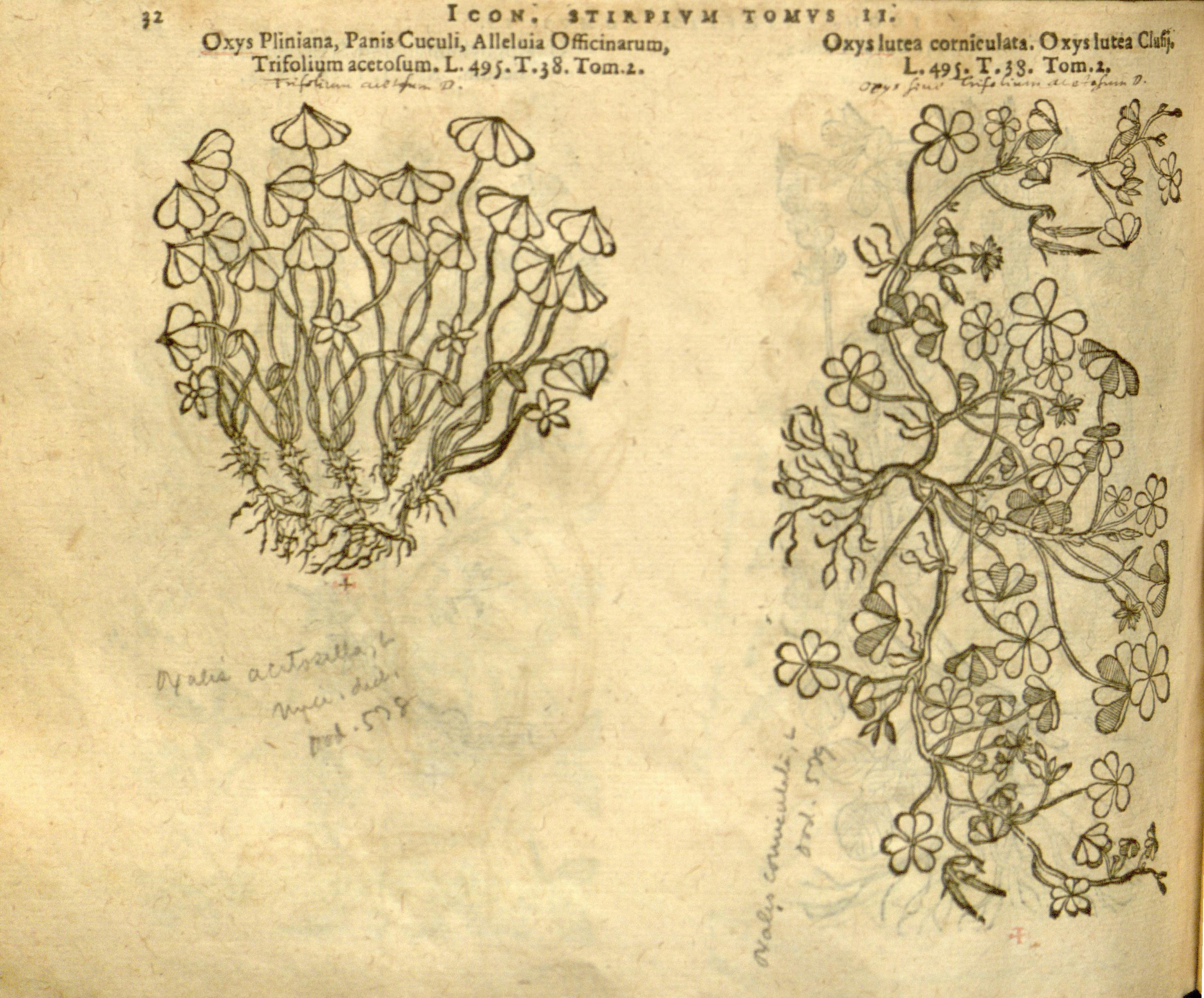 no full size  illustration available (3a)