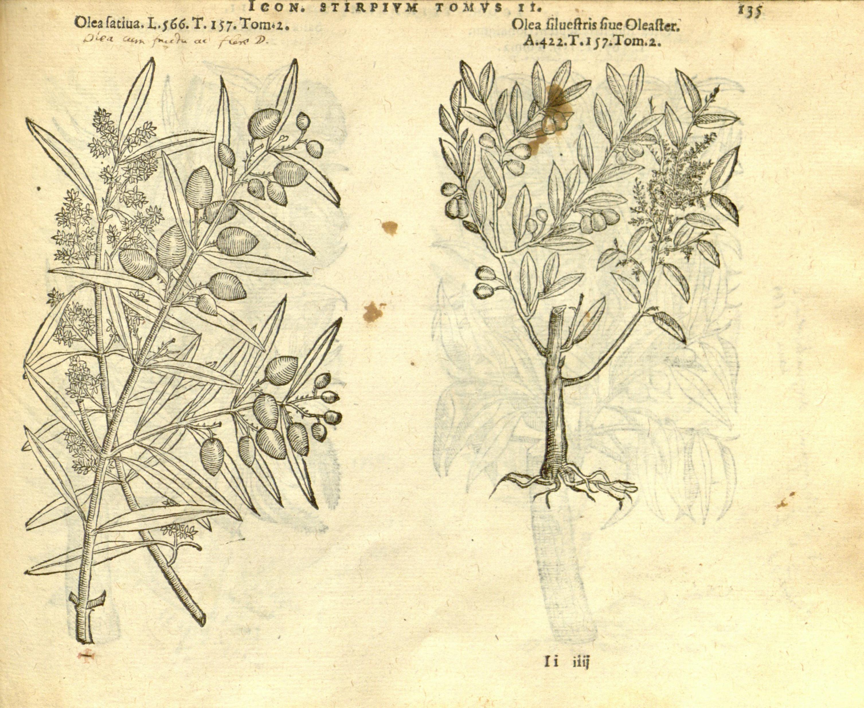 no full size  illustration available (3a)