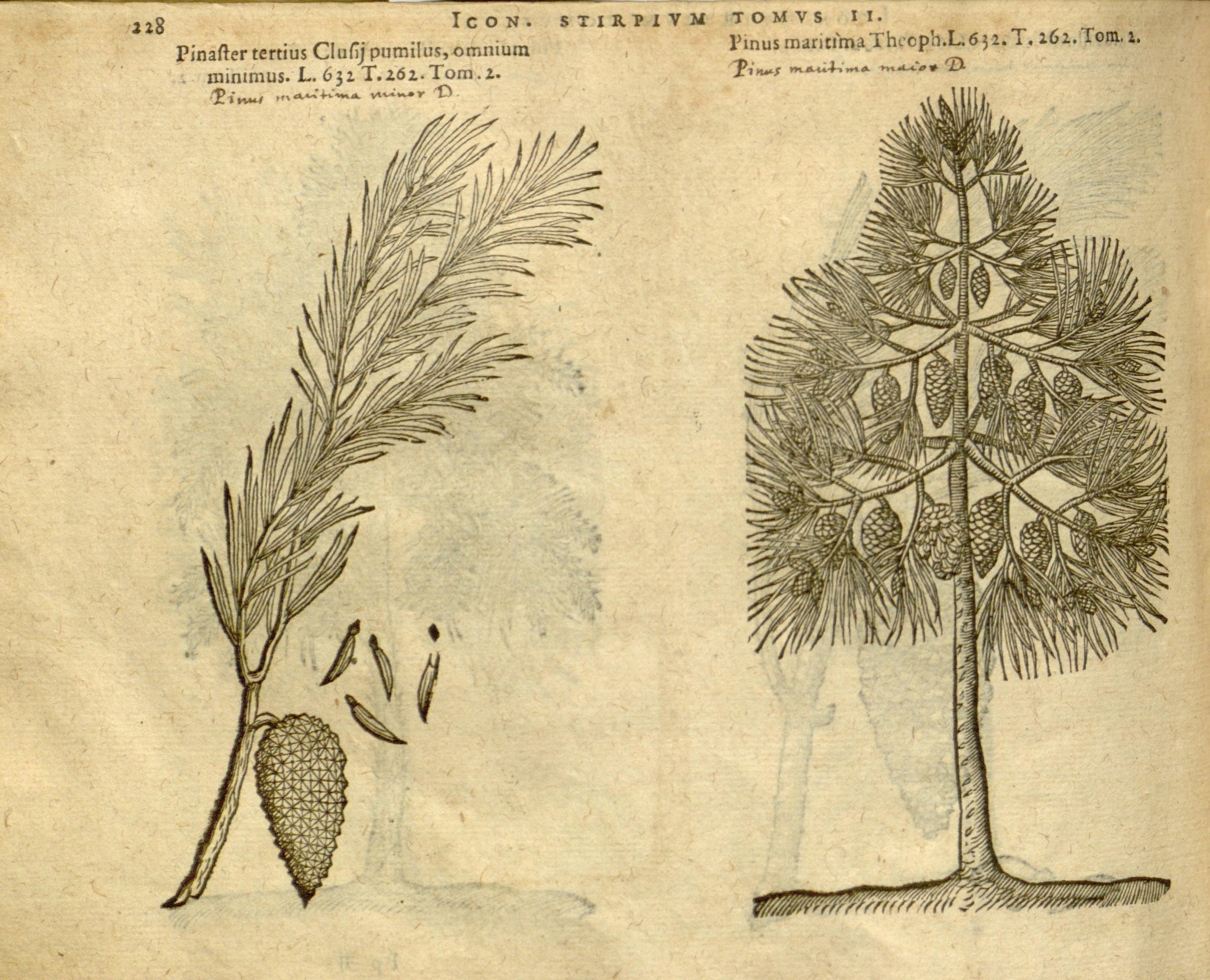 no full size  illustration available (3a)