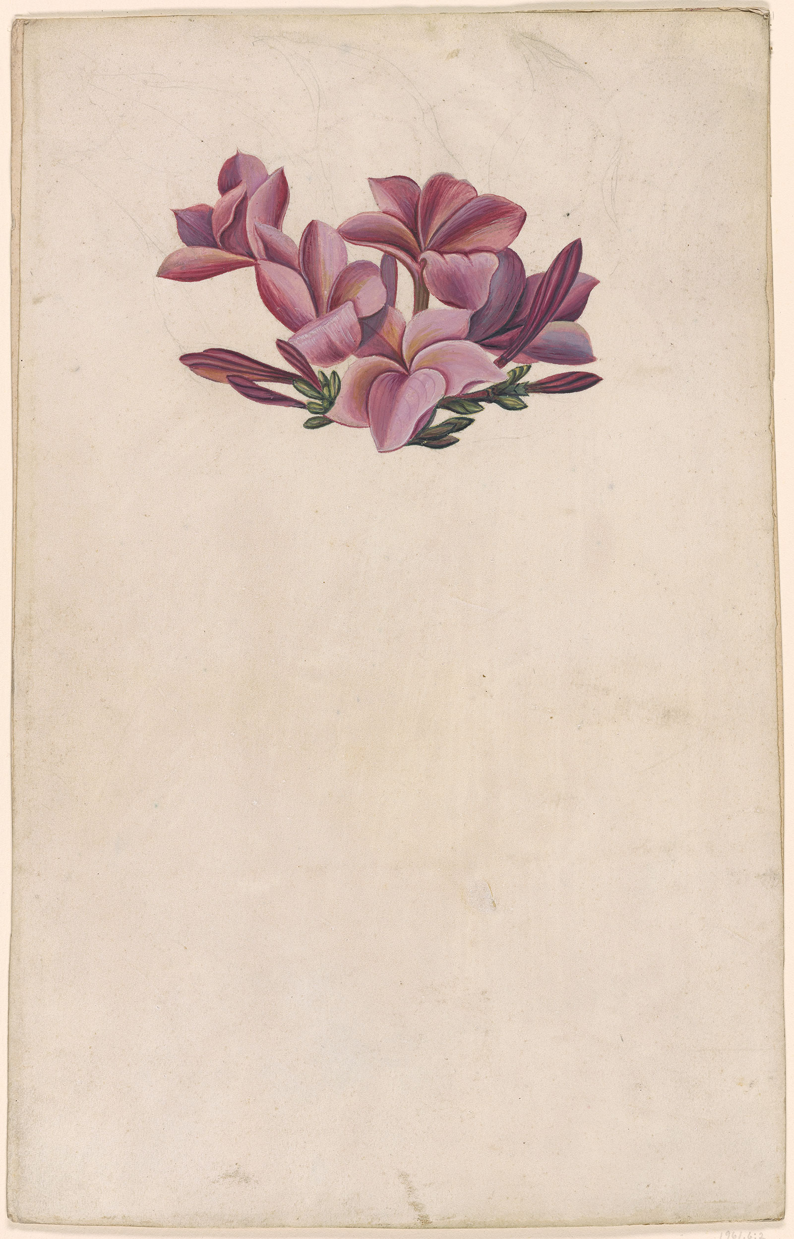 no full size  illustration available (3a)