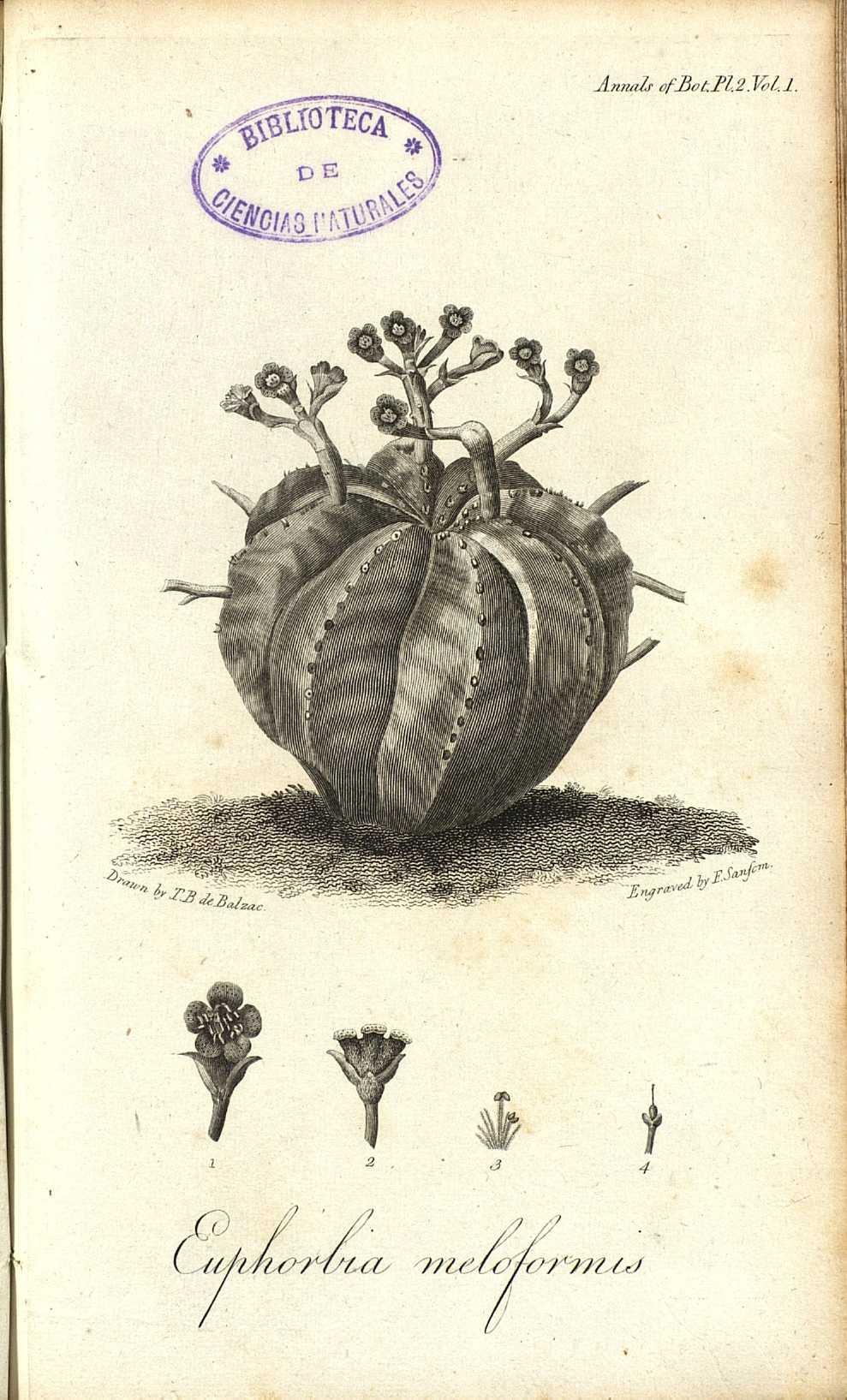 no full size  illustration available (3a)