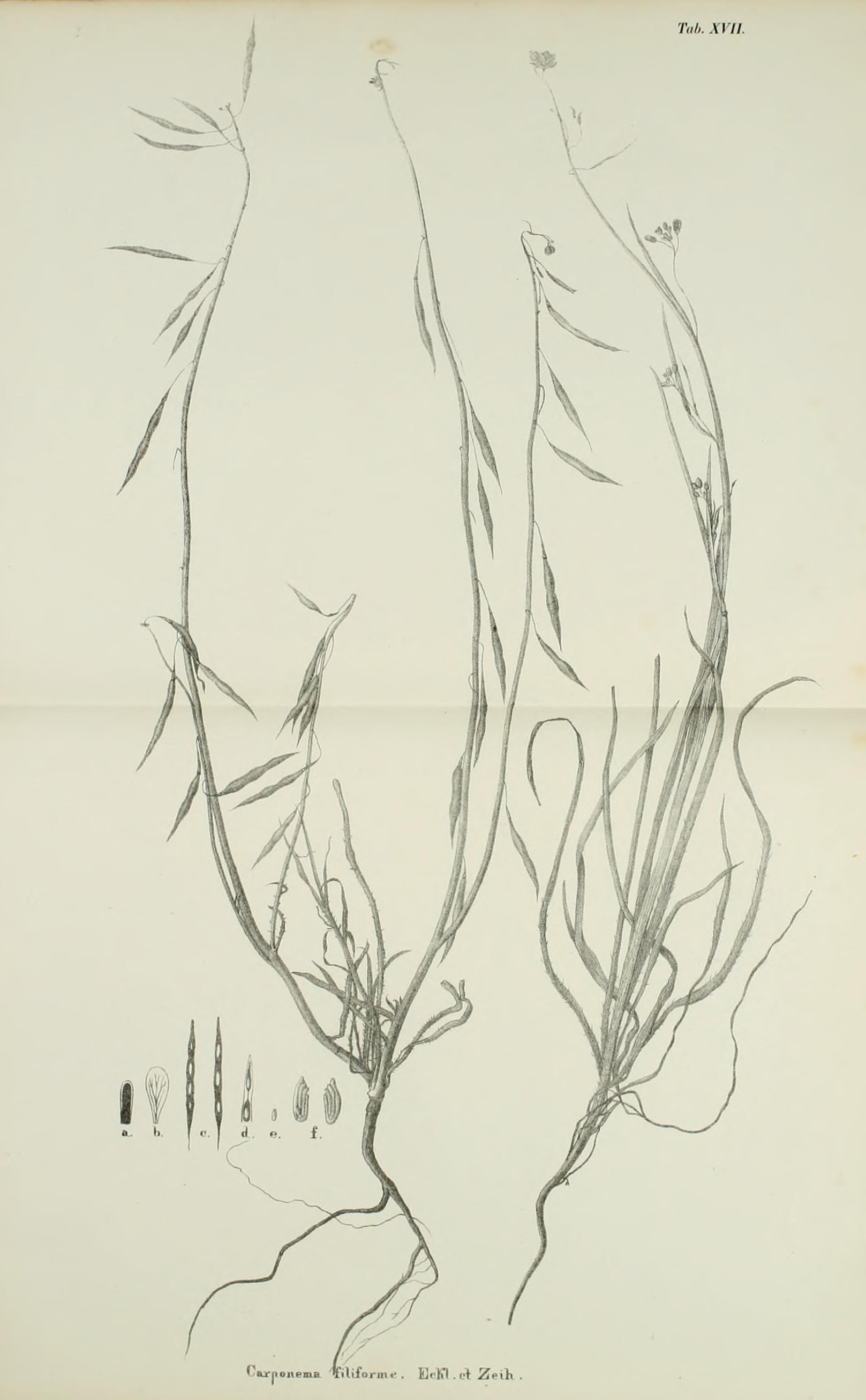 no full size  illustration available (3a)