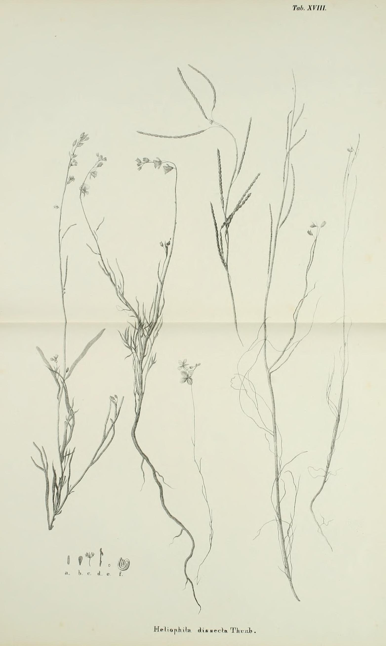 no full size  illustration available (3a)