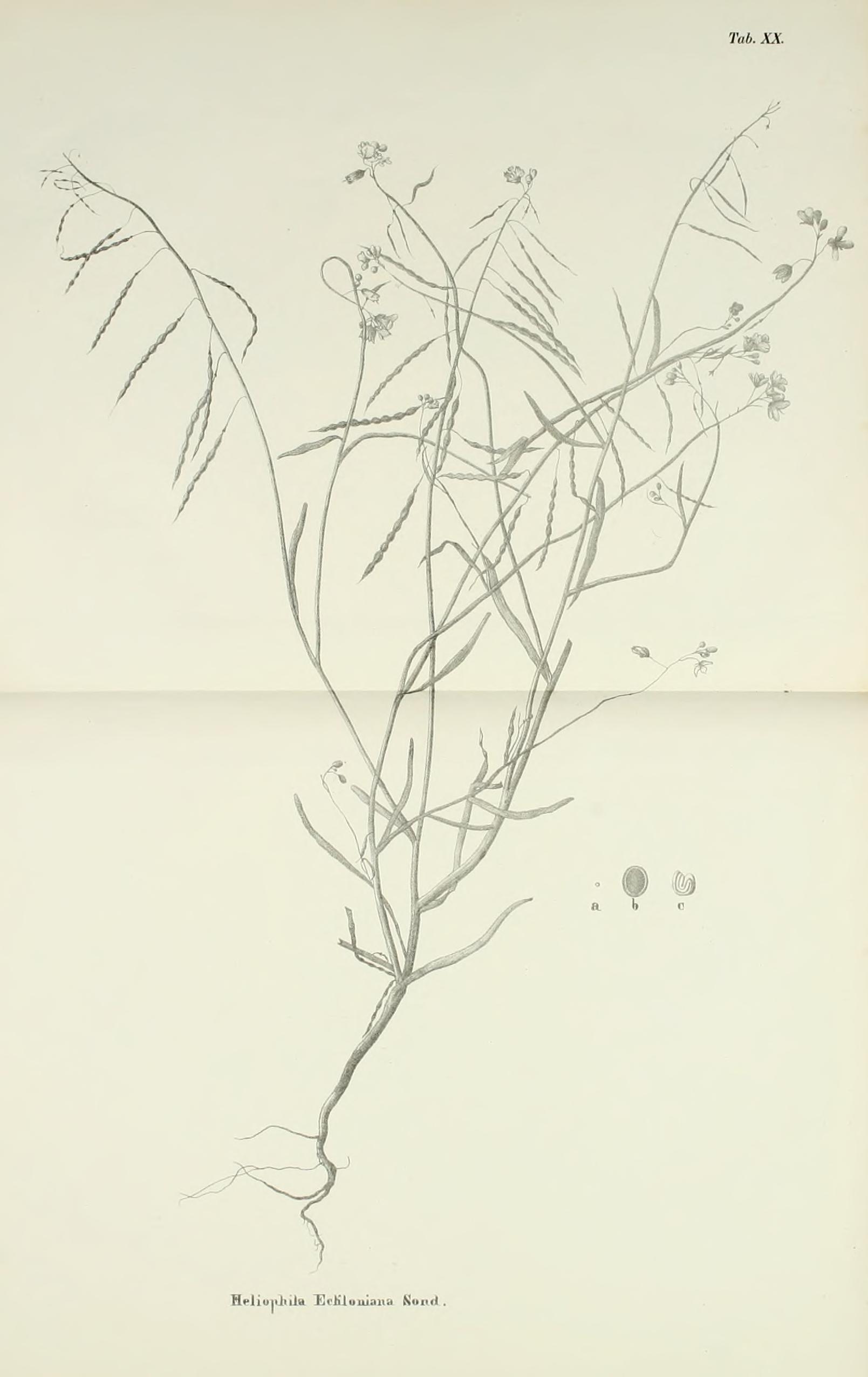 no full size  illustration available (3a)