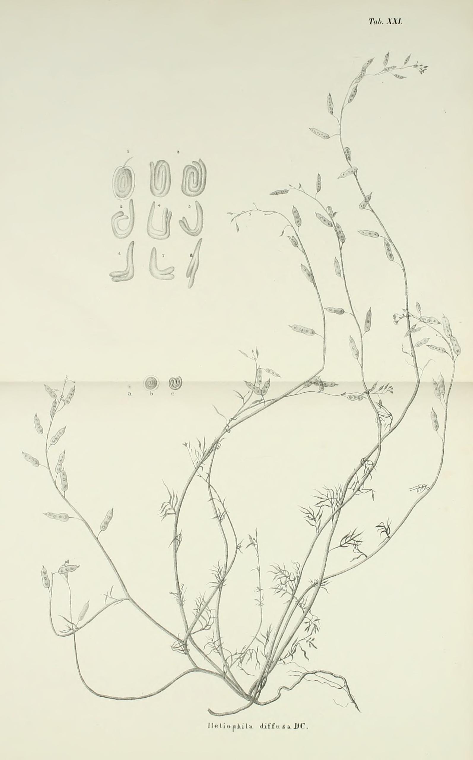 no full size  illustration available (3a)