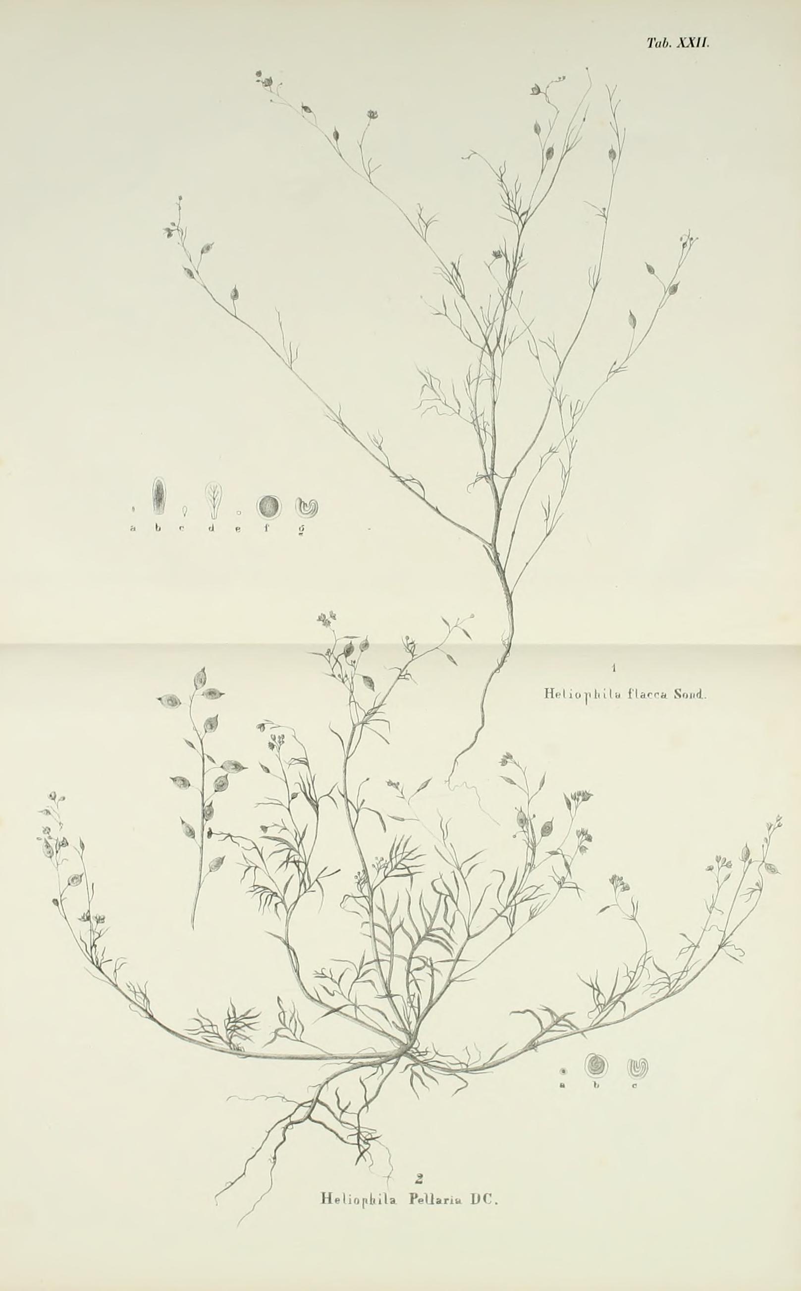 no full size  illustration available (3a)