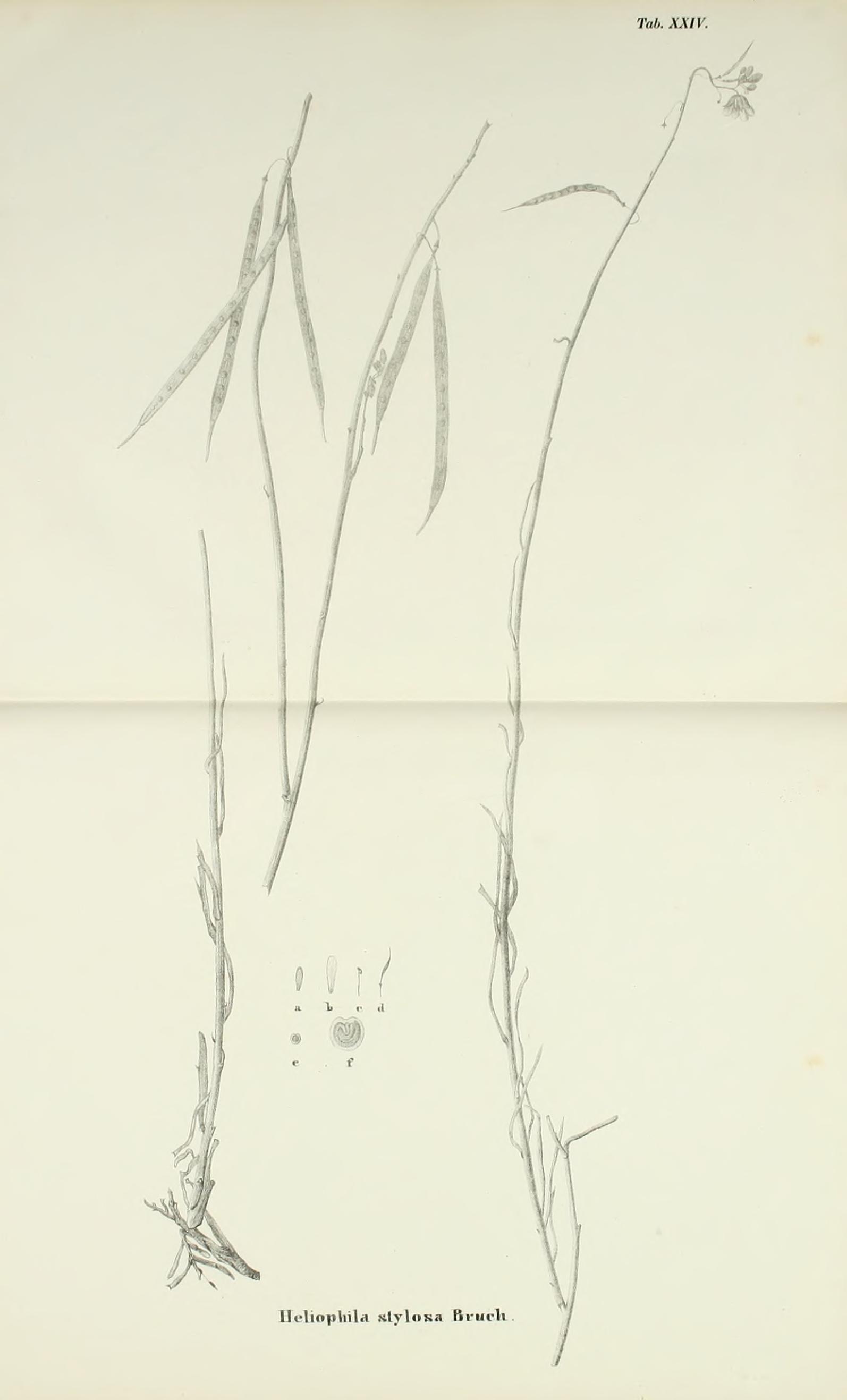 no full size  illustration available (3a)