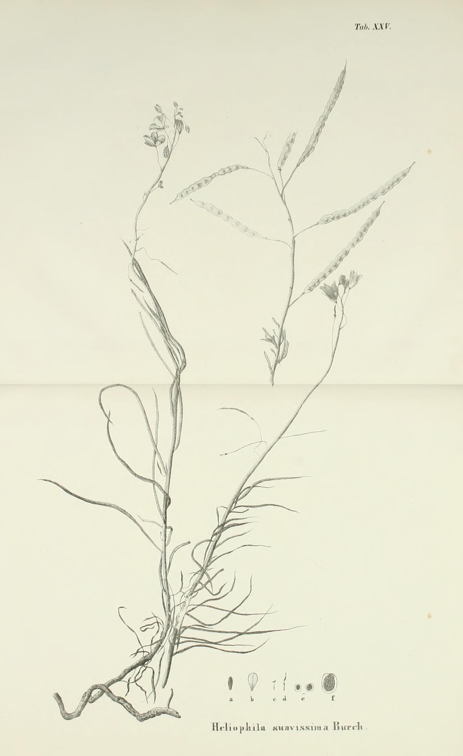 no full size  illustration available (3a)