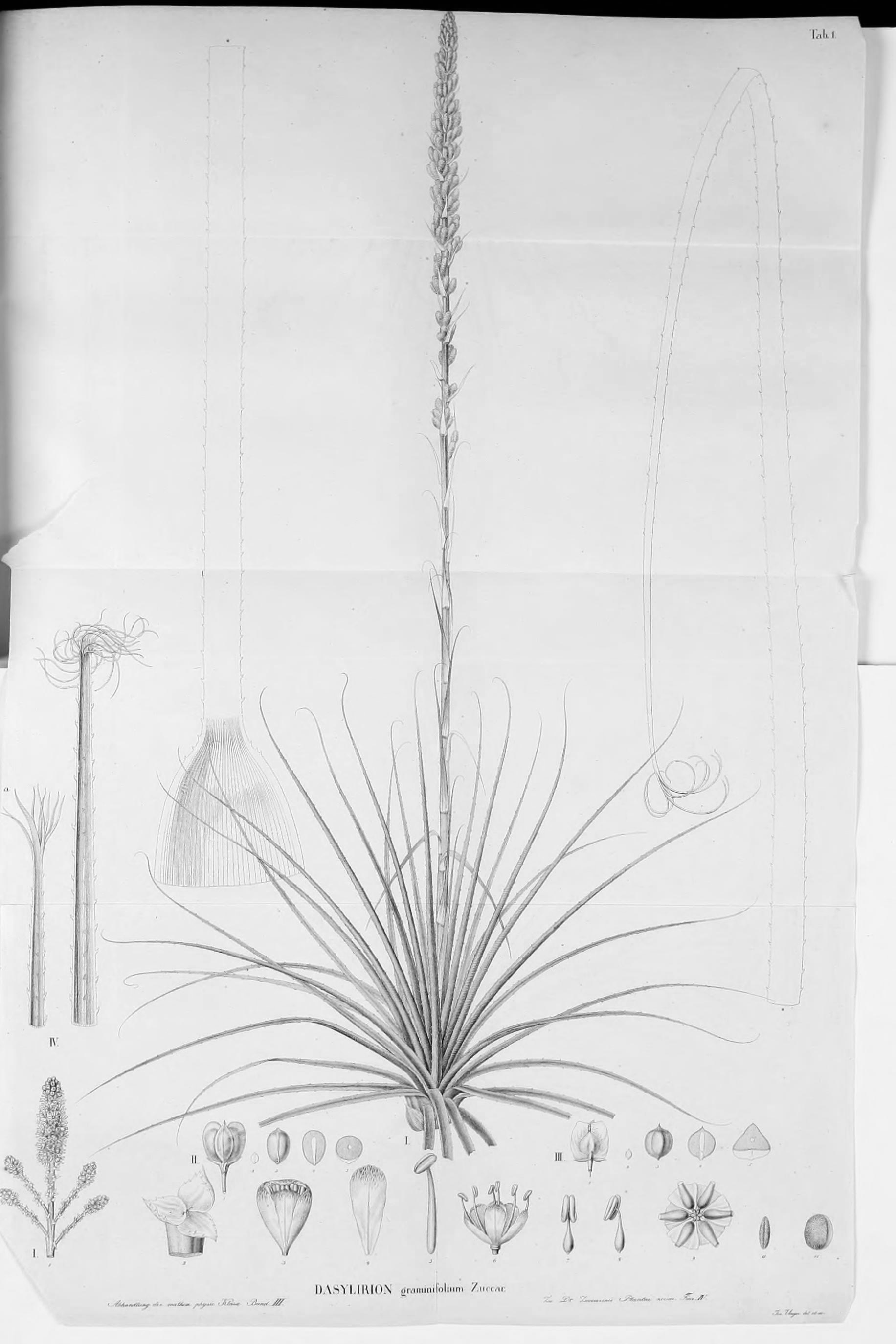 no full size  illustration available (3a)