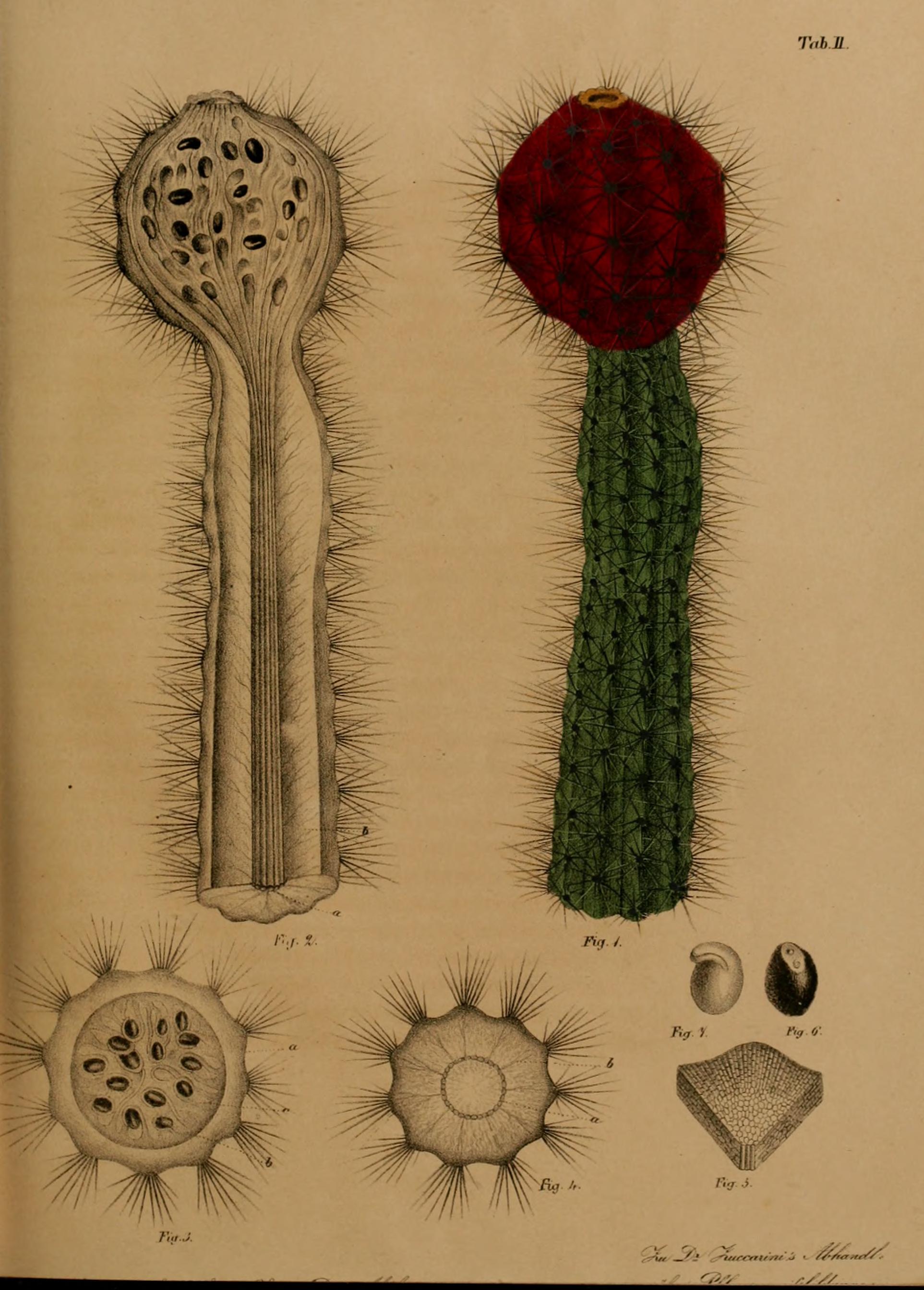 no full size  illustration available (3a)