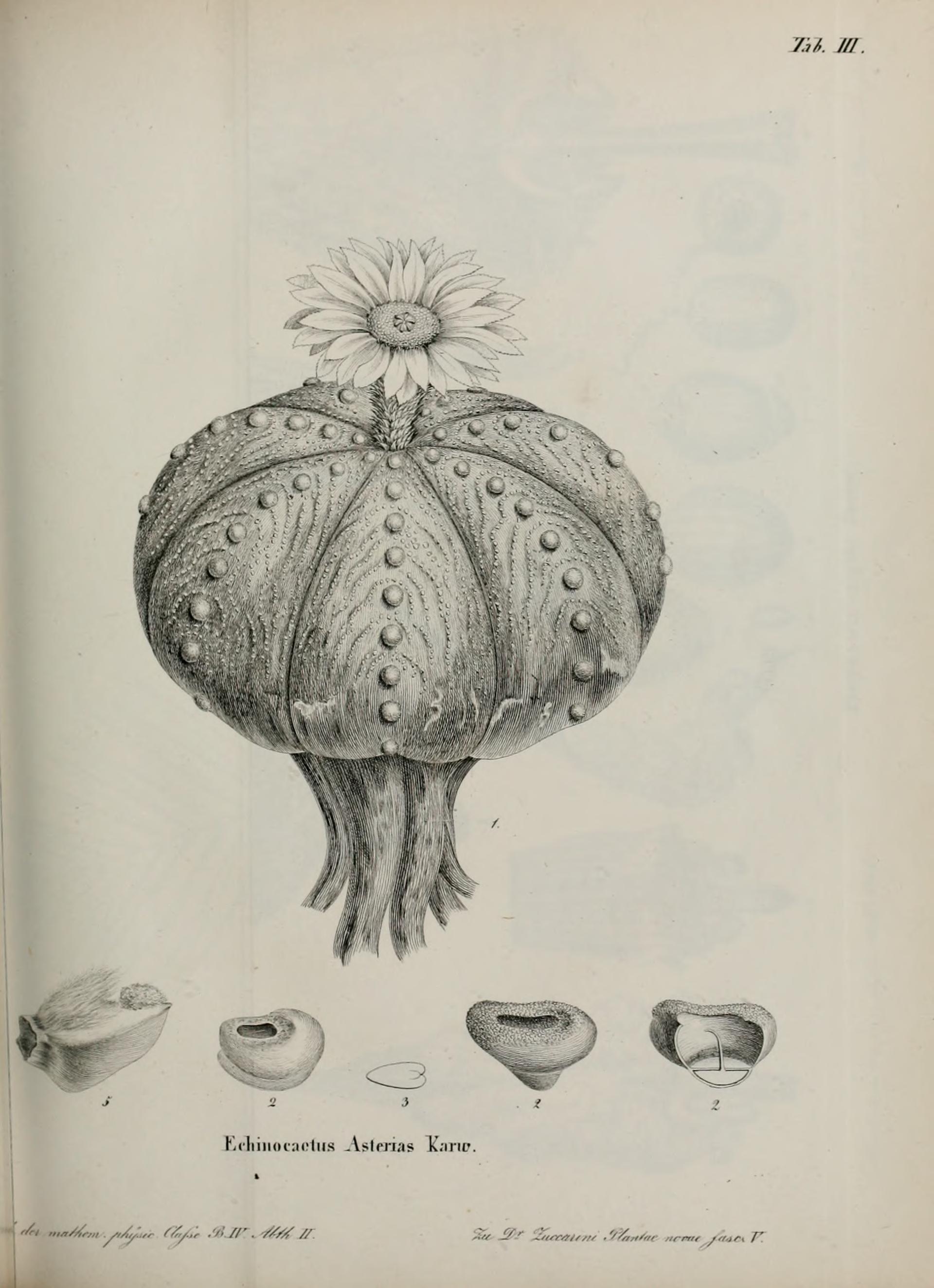 no full size  illustration available (3a)