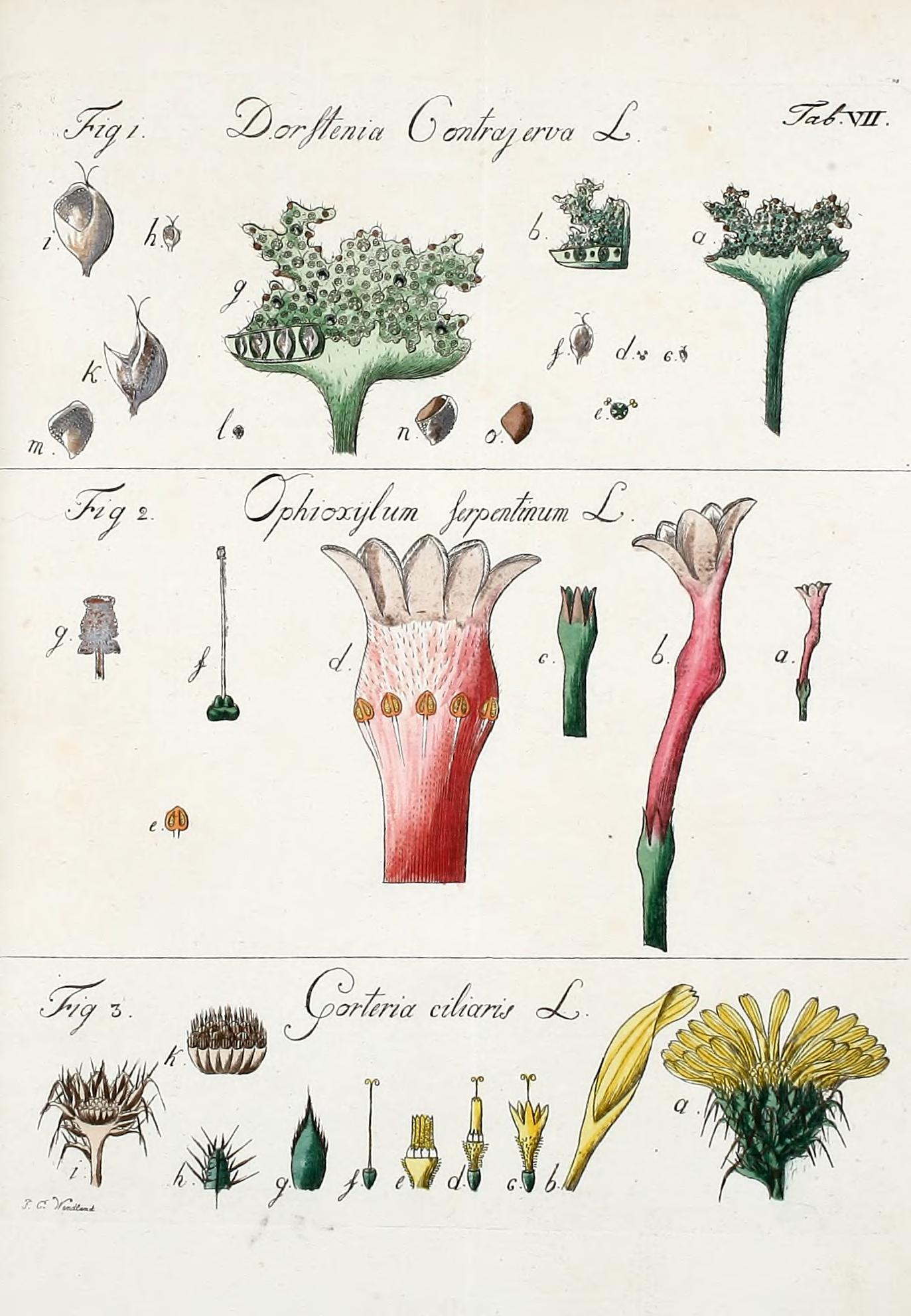 no full size  illustration available (3a)