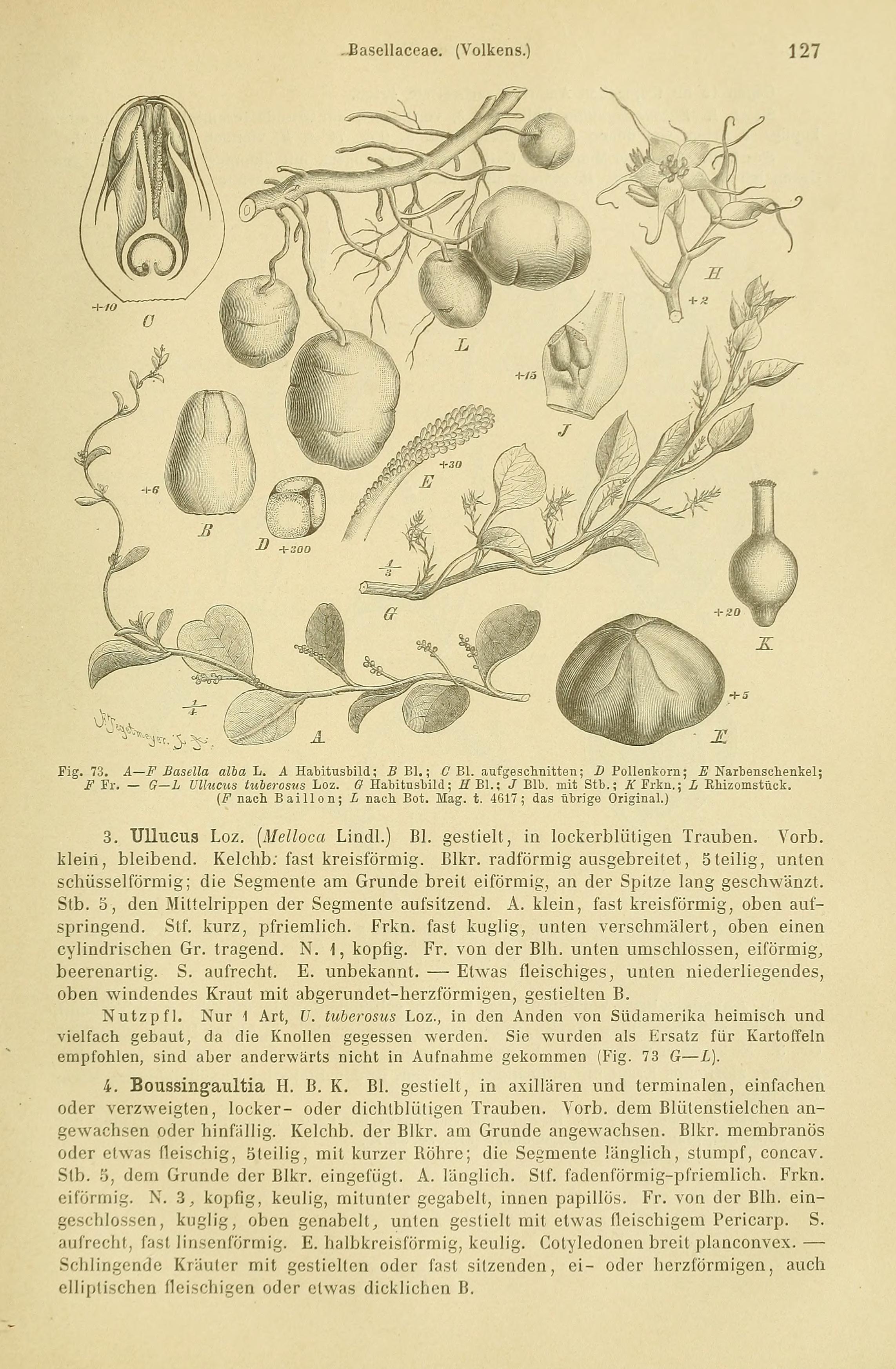 no full size  illustration available (3a)