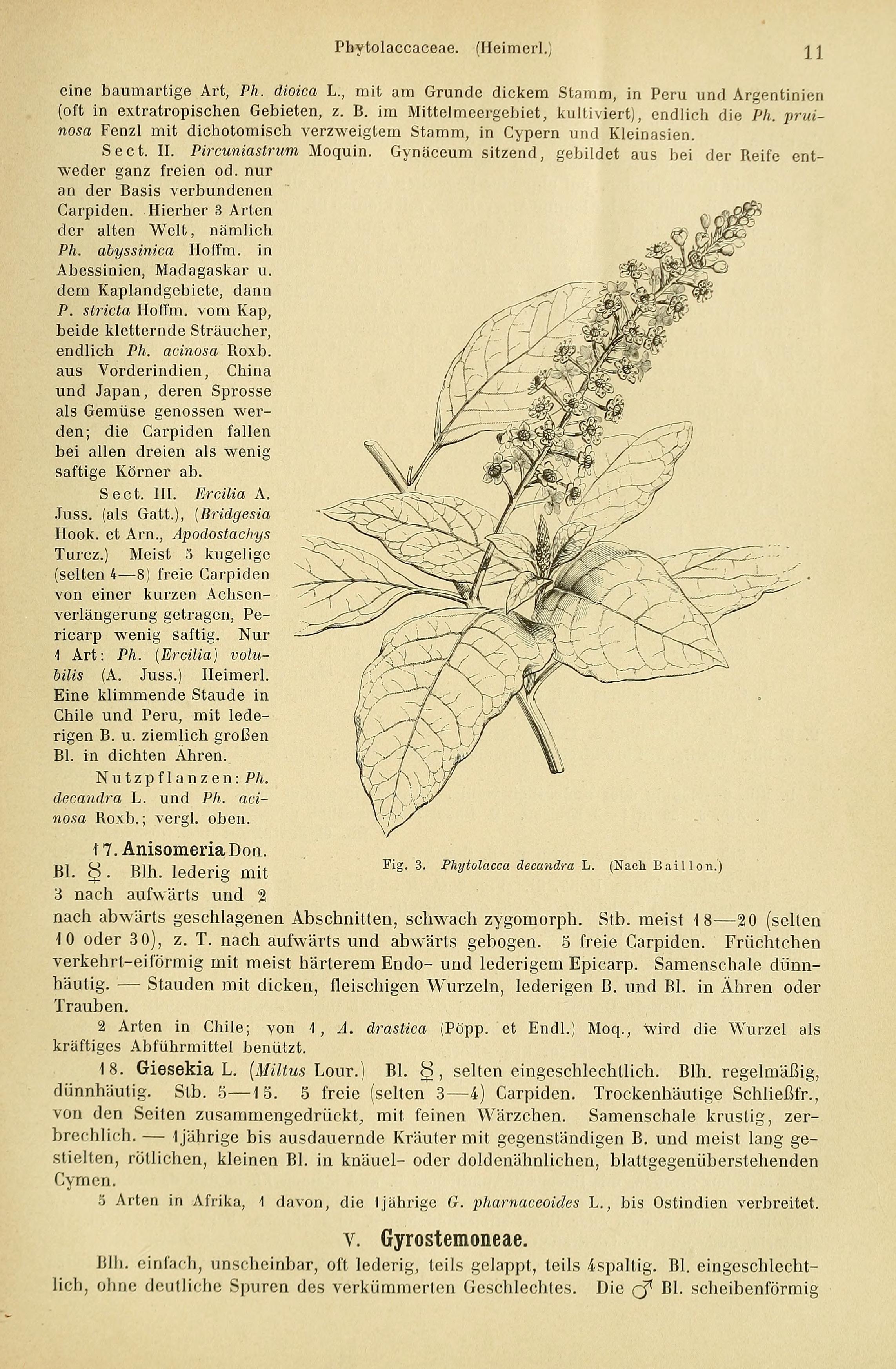 no full size  illustration available (3a)