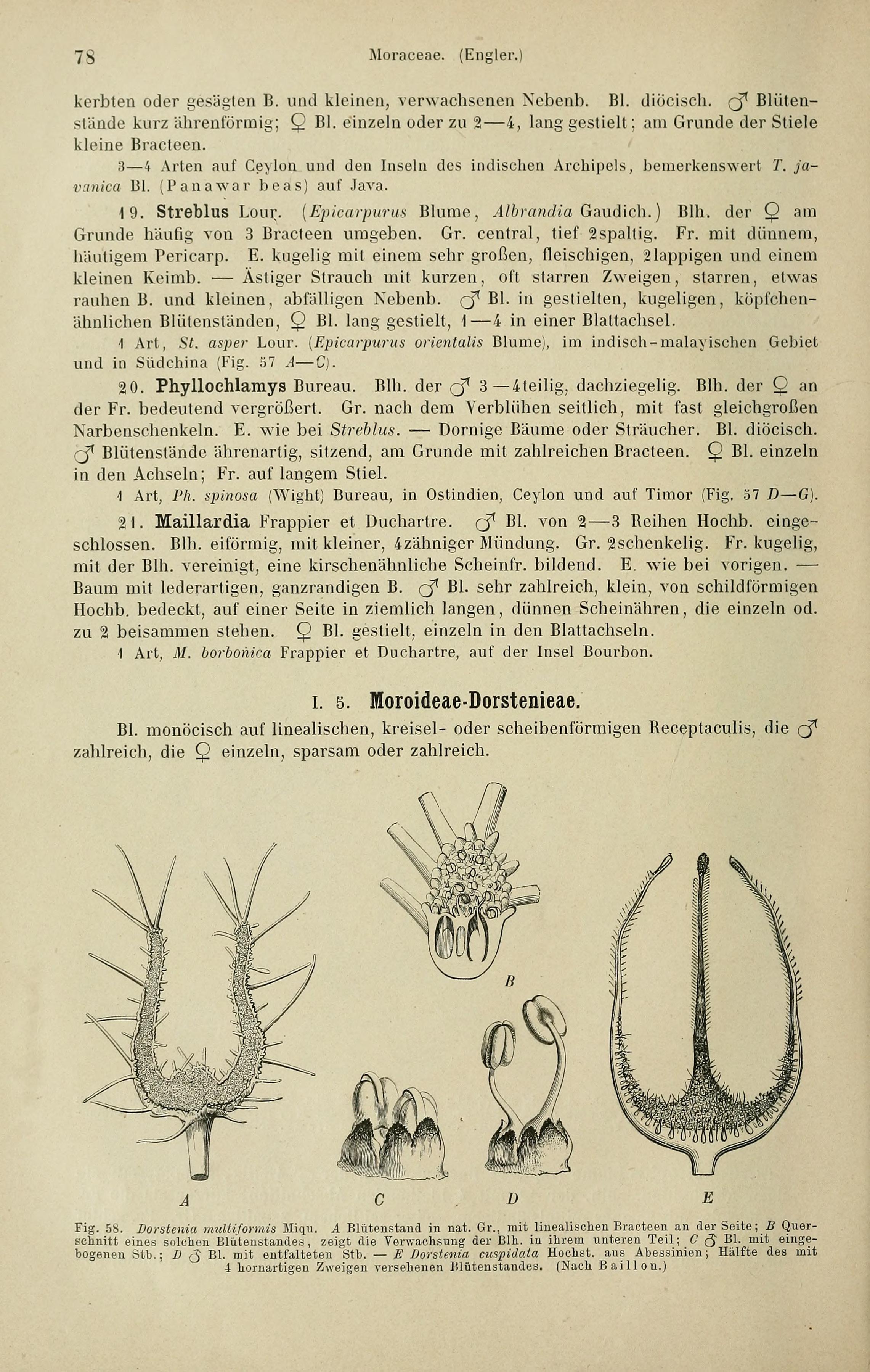 no full size  illustration available (3a)