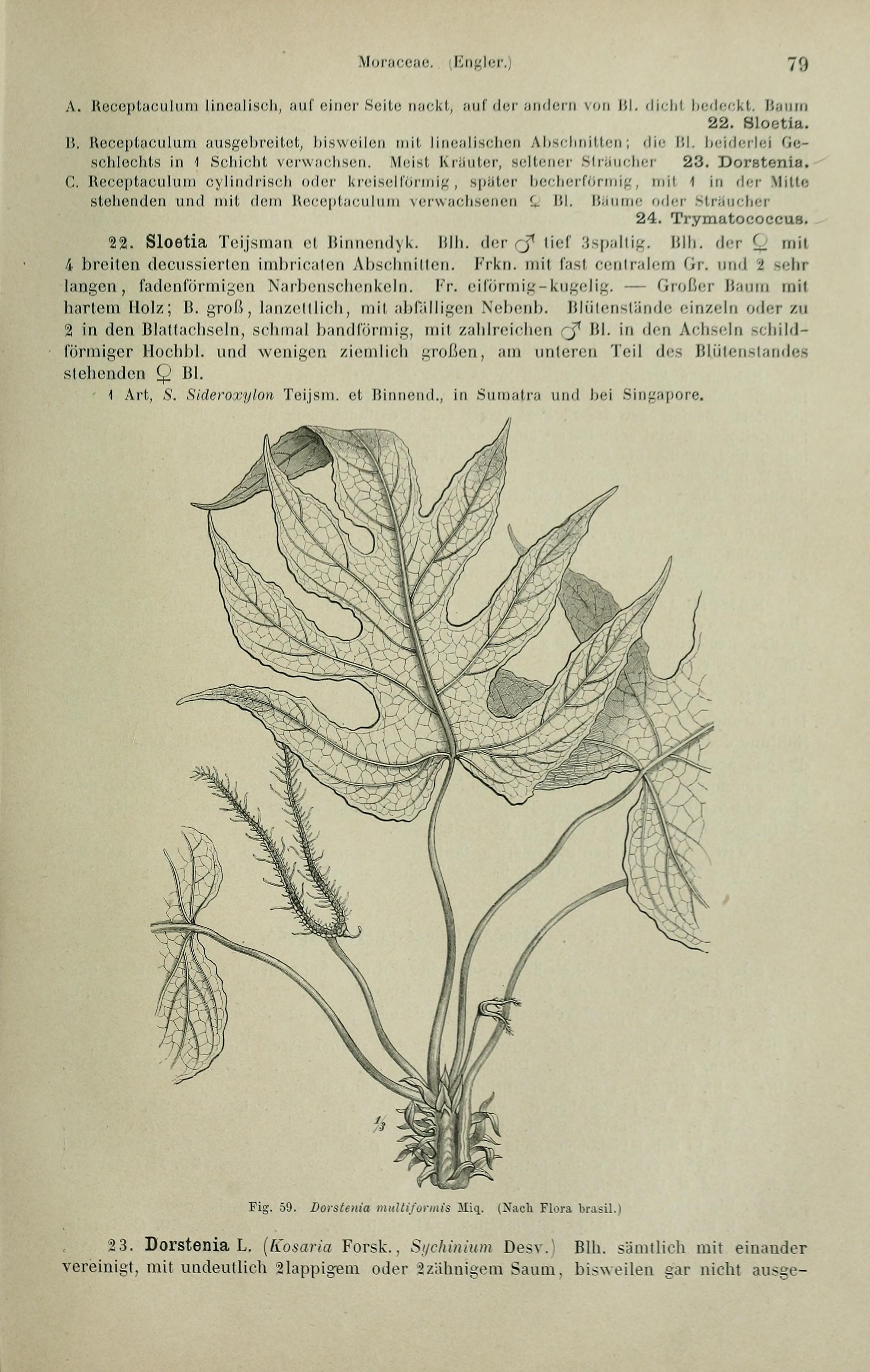 no full size  illustration available (3a)