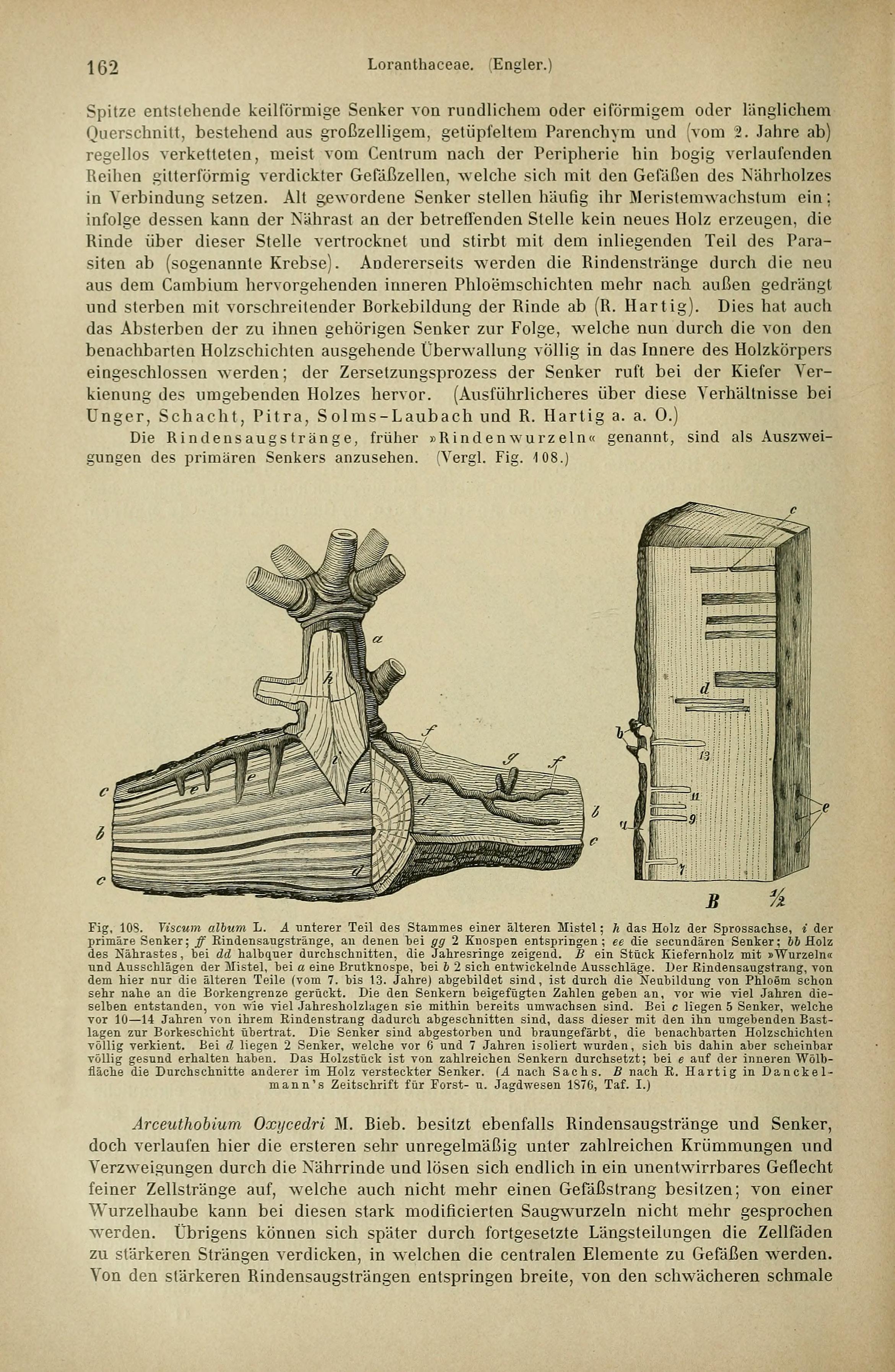 no full size  illustration available (3a)