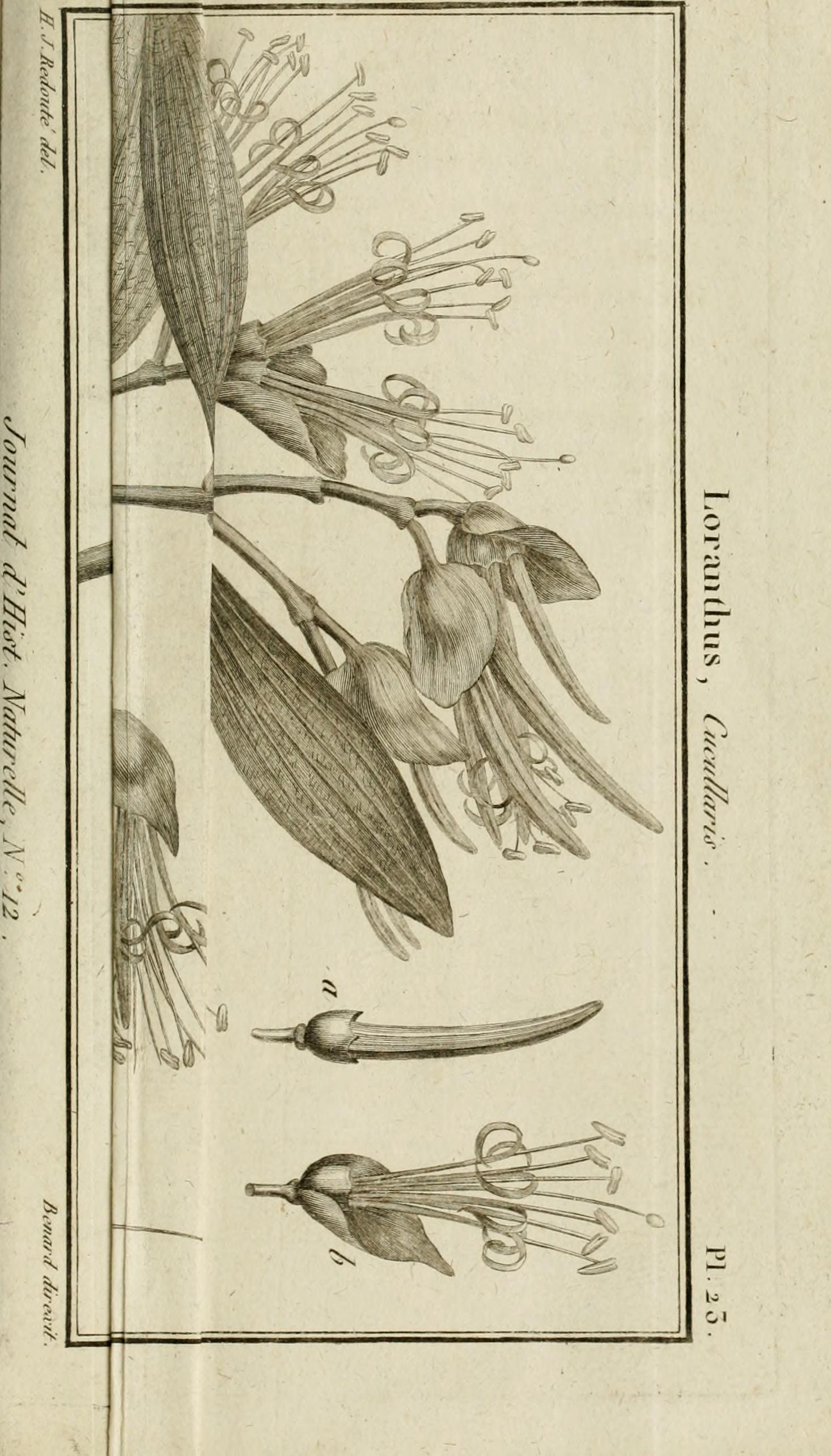 no full size  illustration available (3a)