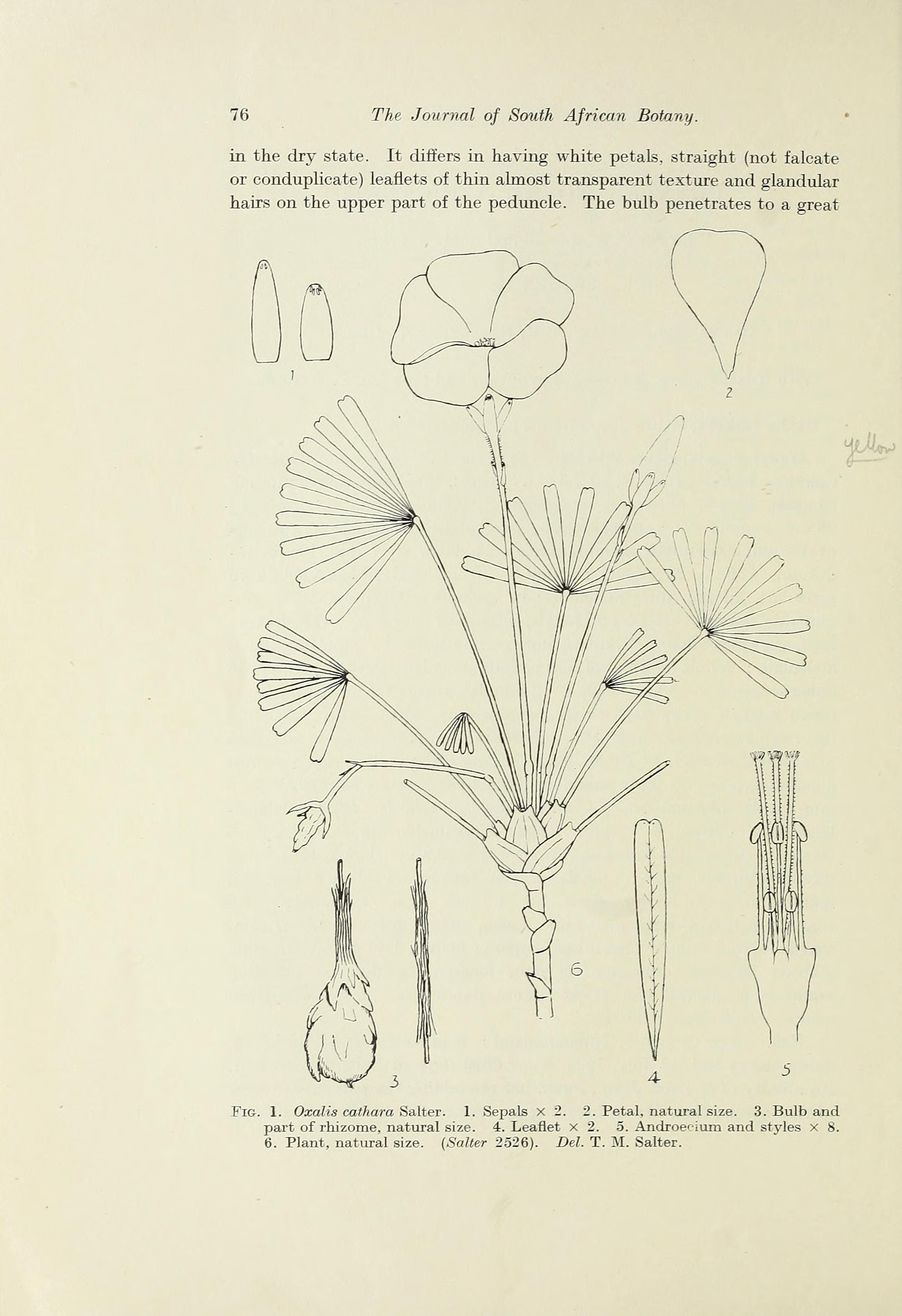 no full size  illustration available (3a)