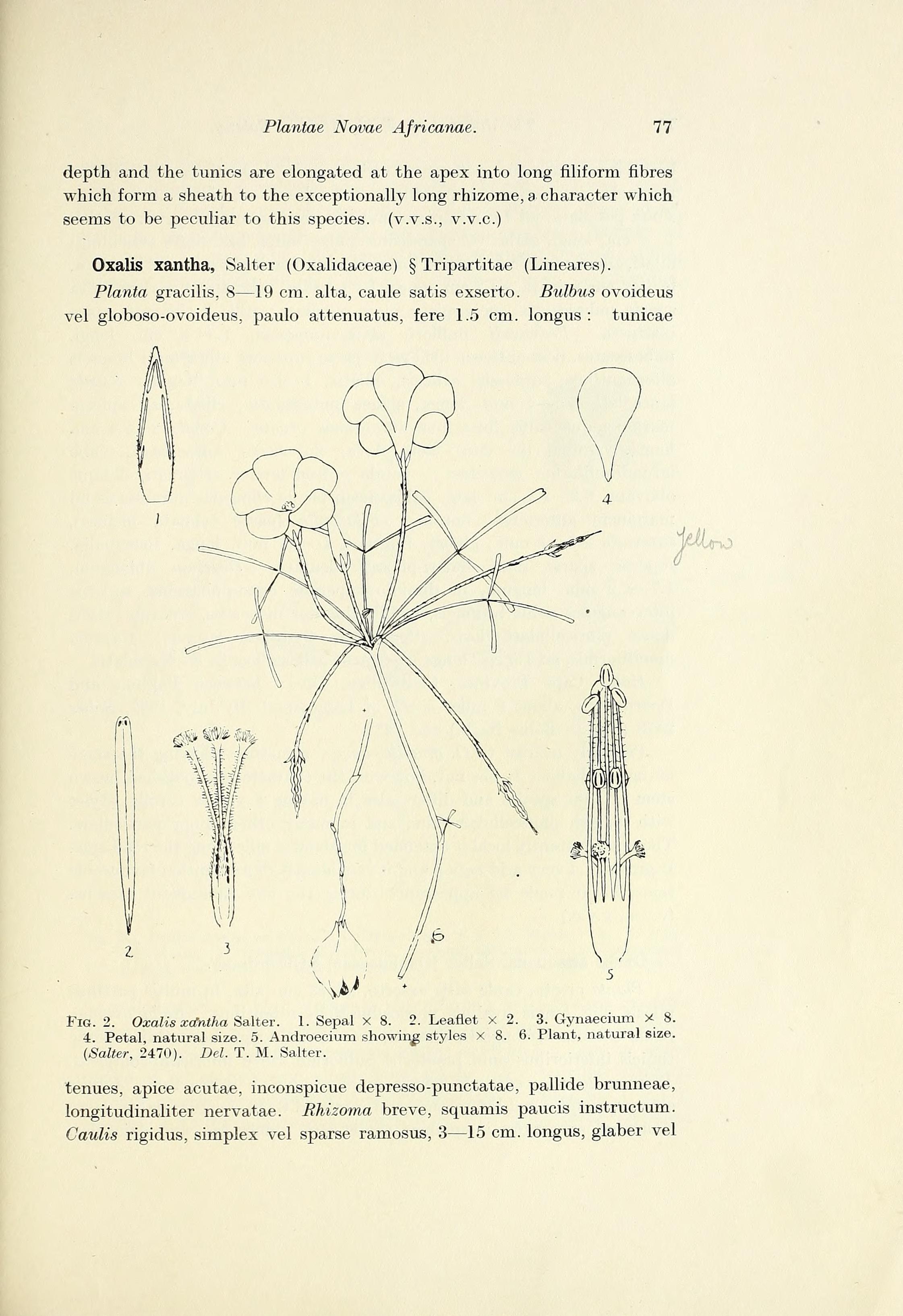 no full size  illustration available (3a)