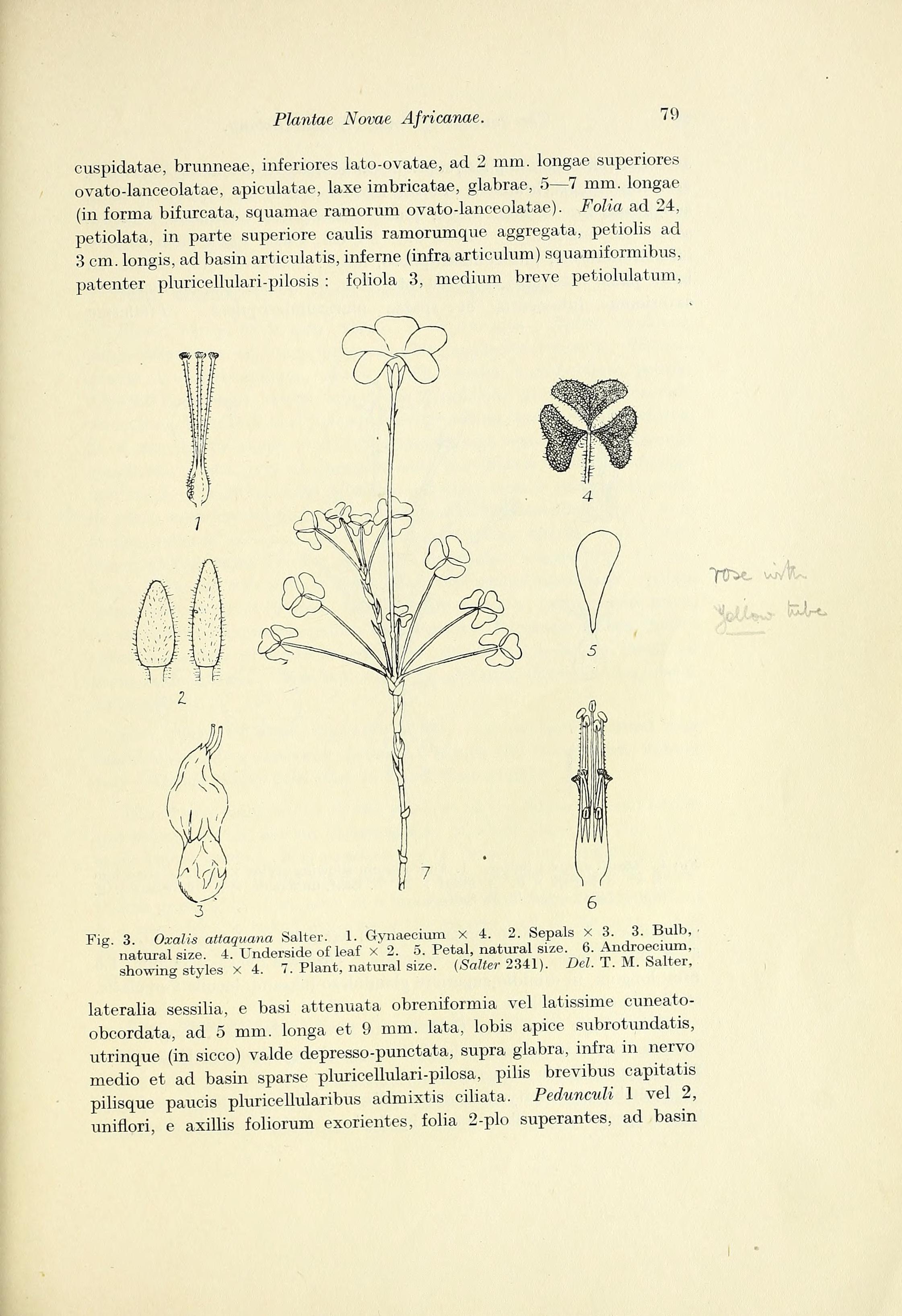 no full size  illustration available (3a)