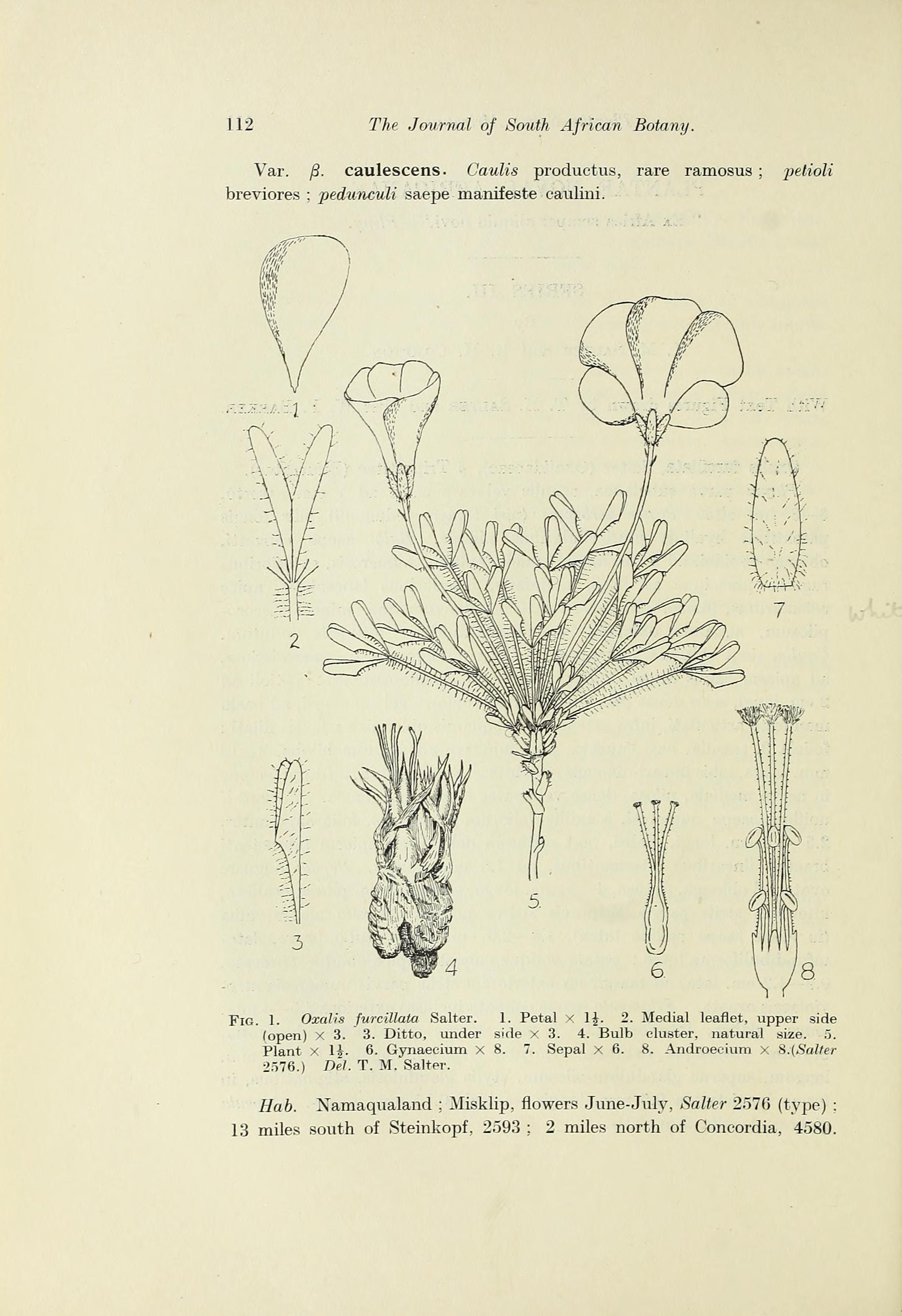 no full size  illustration available (3a)