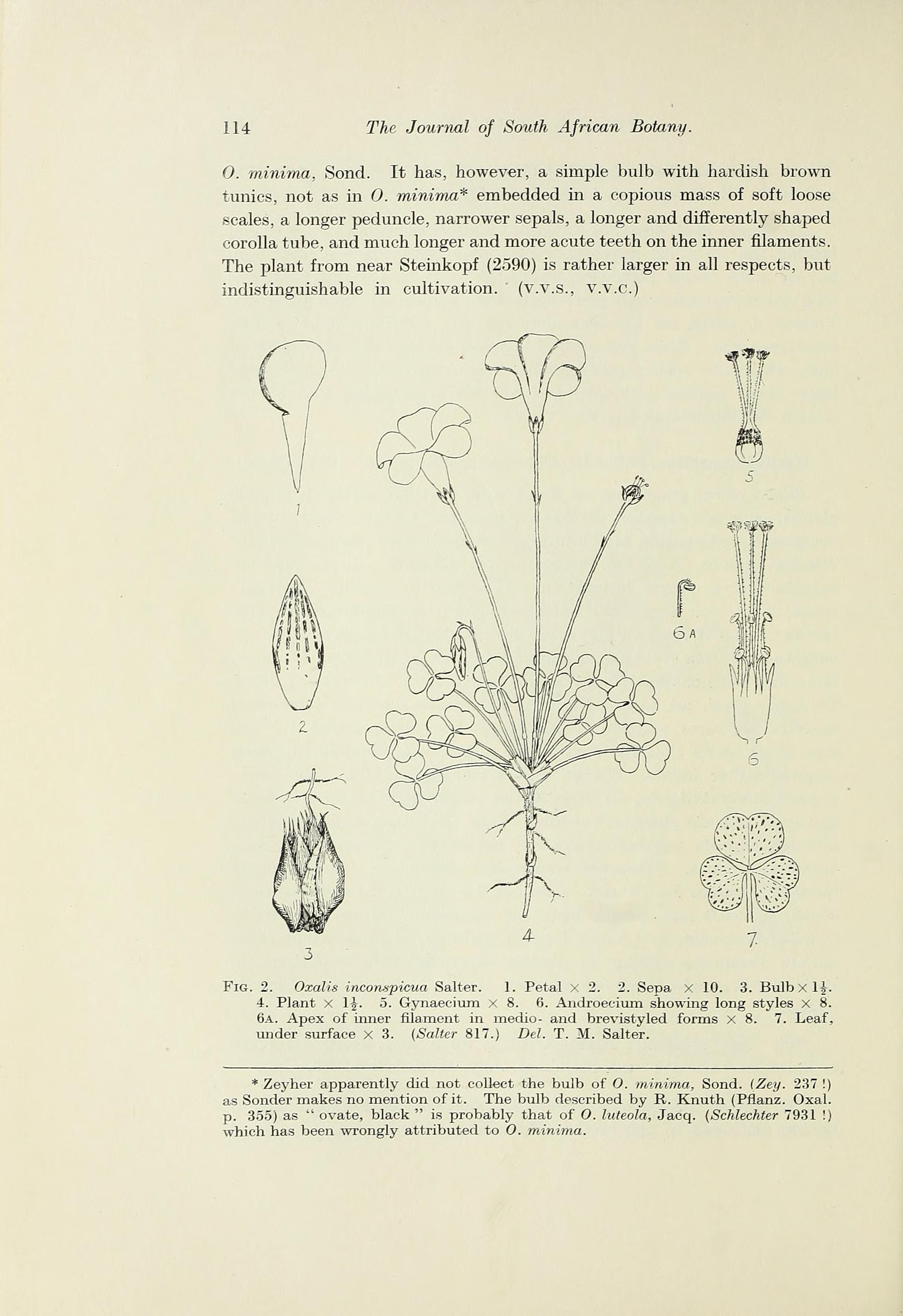 no full size  illustration available (3a)