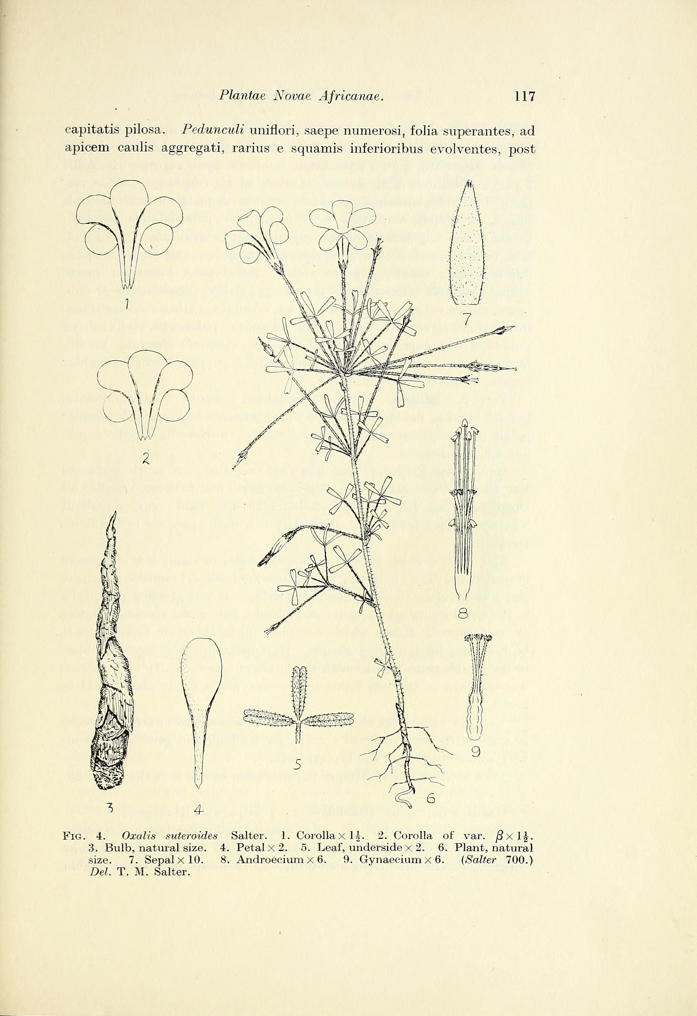 no full size  illustration available (3a)