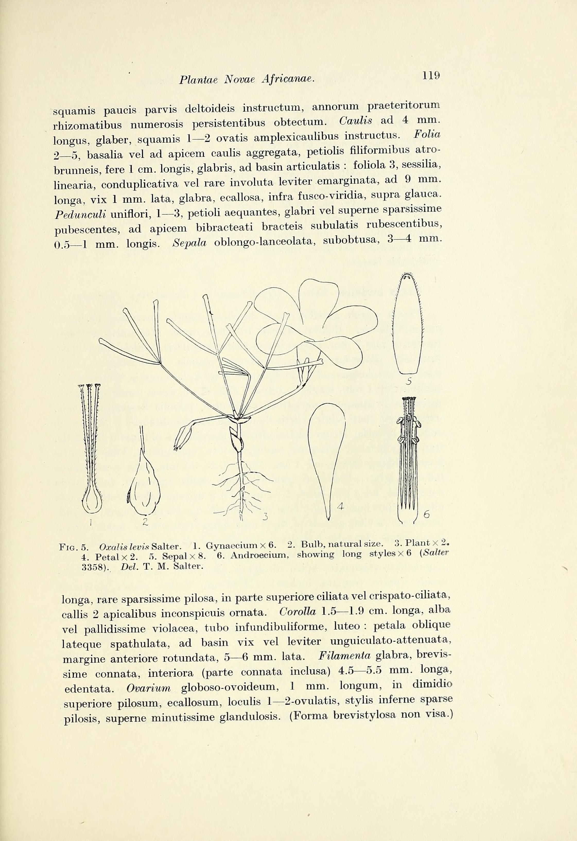 no full size  illustration available (3a)