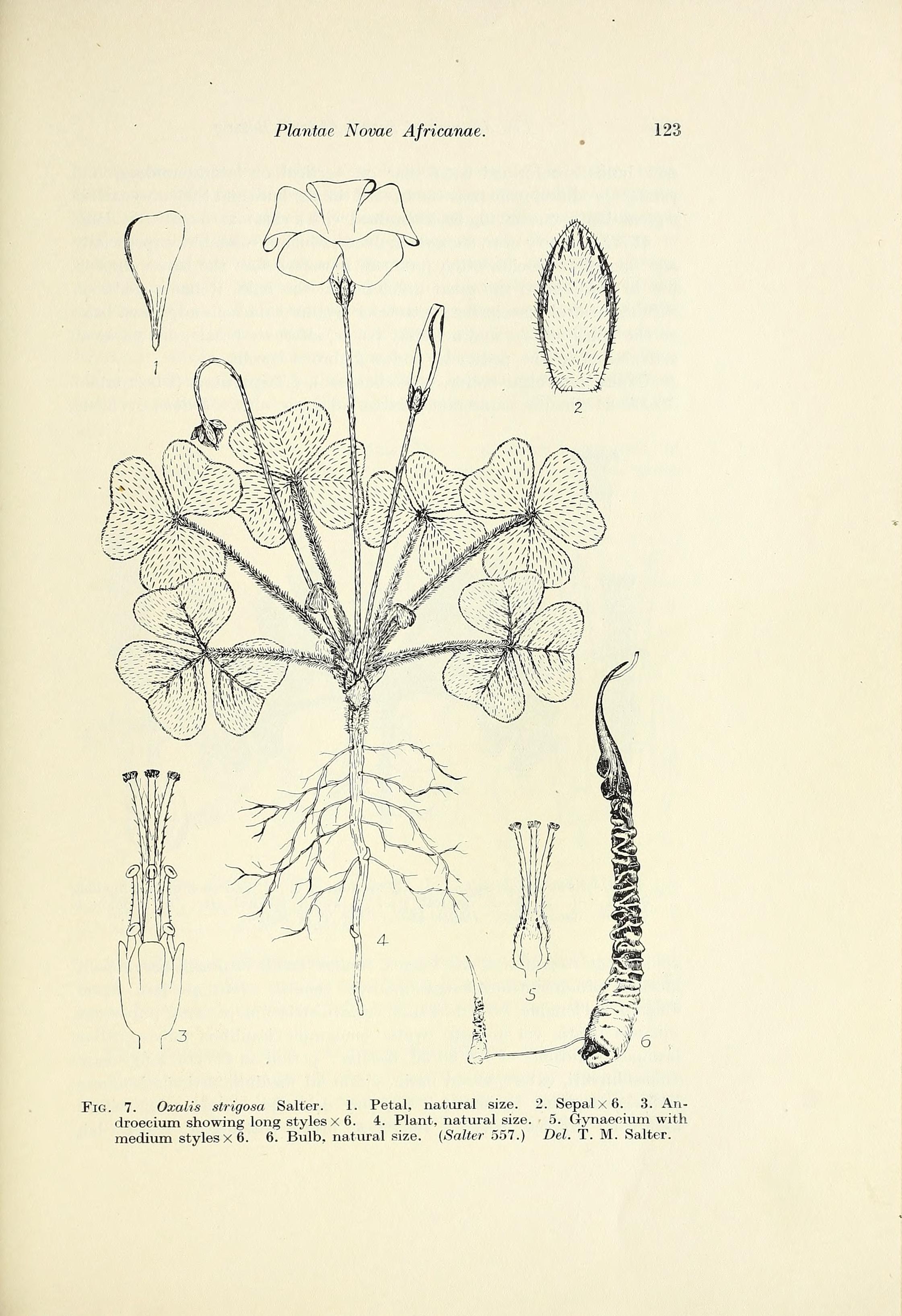 no full size  illustration available (3a)